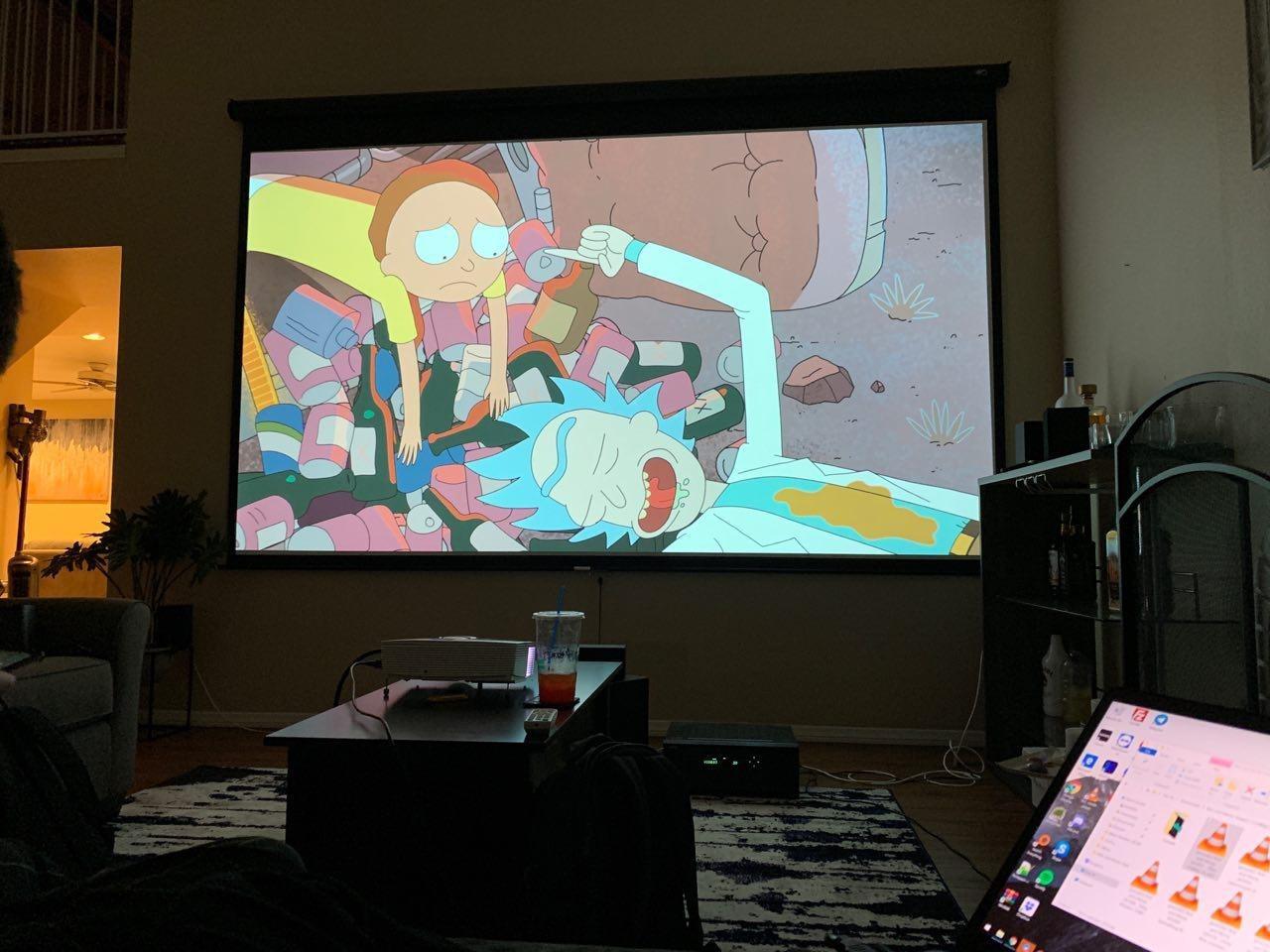 Elite Screens Manual Series, 120-INCH 16:9, Pull Down Projector Screen with AUTO Lock, Movie Home Theater 8K / 4K Ultra HD 3D Ready, 2-Year Warranty, M120UWH2 customer photo 1