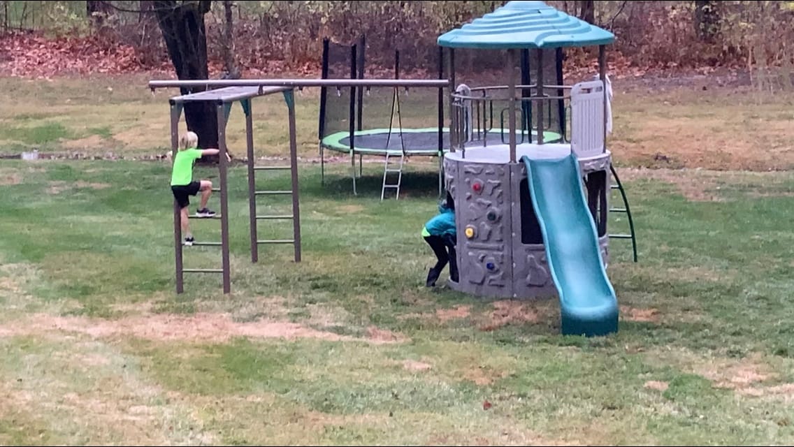LIFETIME 90630 Products Adventure Tower Deluxe Swing Set, Green customer photo 1