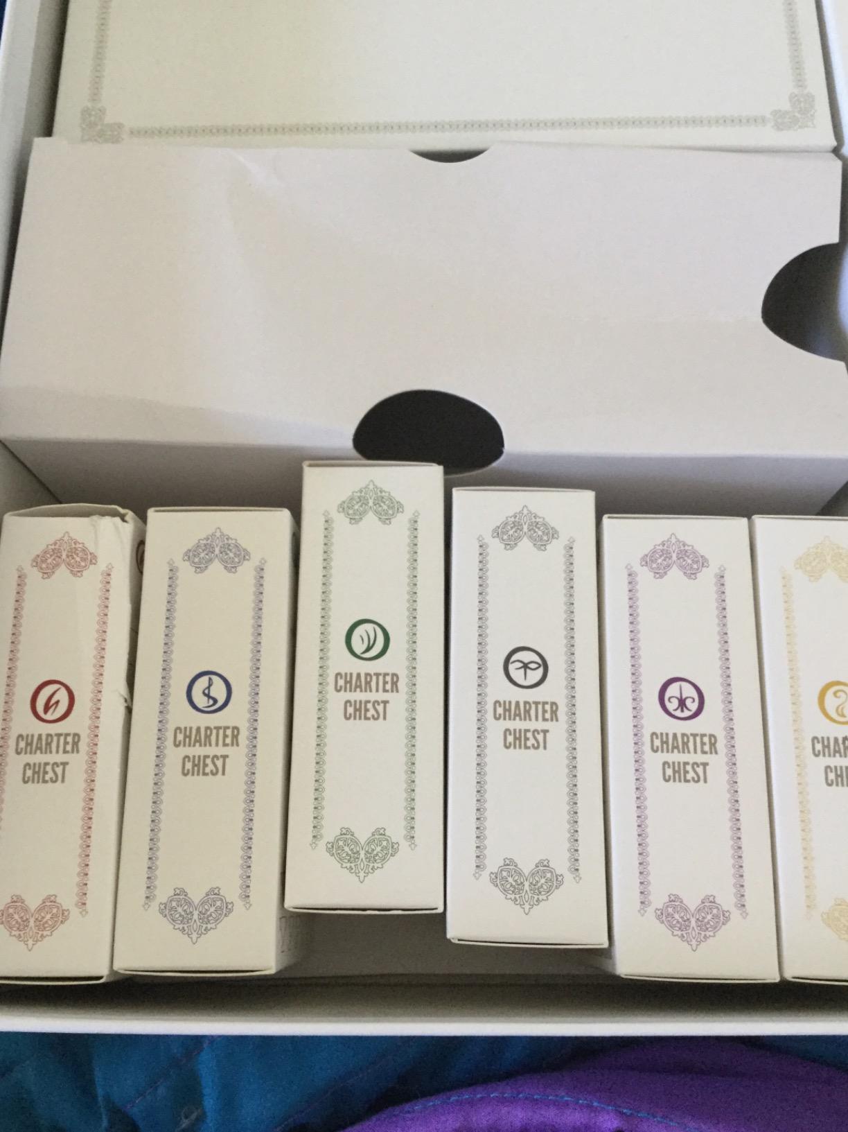 Stonemaier Games: Charterstone, Competitive Legacy Game by Jamey Stegmaier customer photo 2