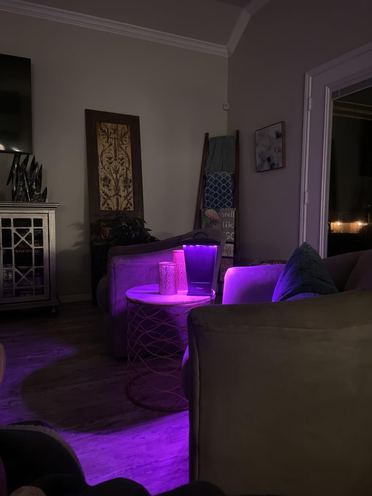 pohopa Bluetooth Speakers Waterproof, 2 Packs True Wireless Stereo Sound 20W Dual Pairing Lantern Indoor Outdoor Speakers with 20 Piece LED Lights, Rich Bass, Pinao Black customer photo 2