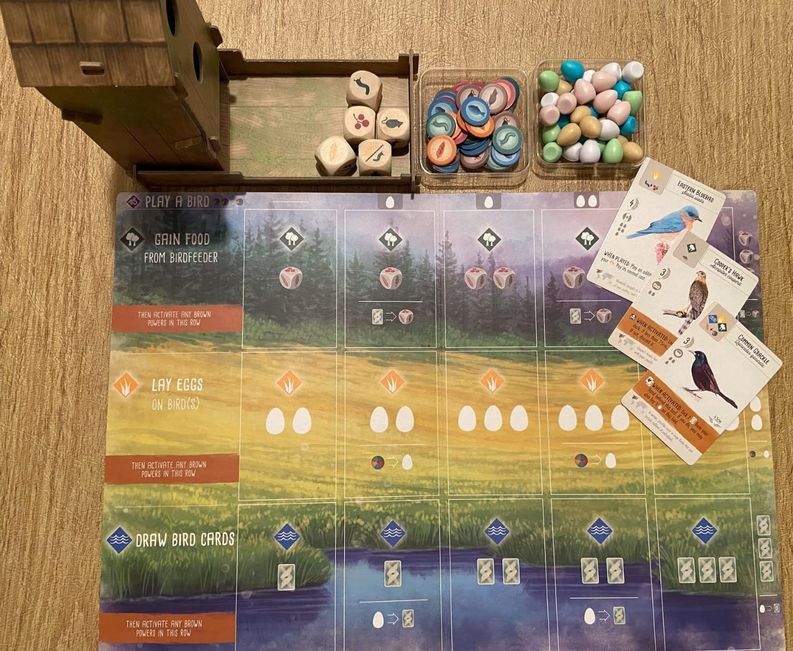 Stonemaier Games: Wingspan by Elizabeth Hargrave customer photo 1