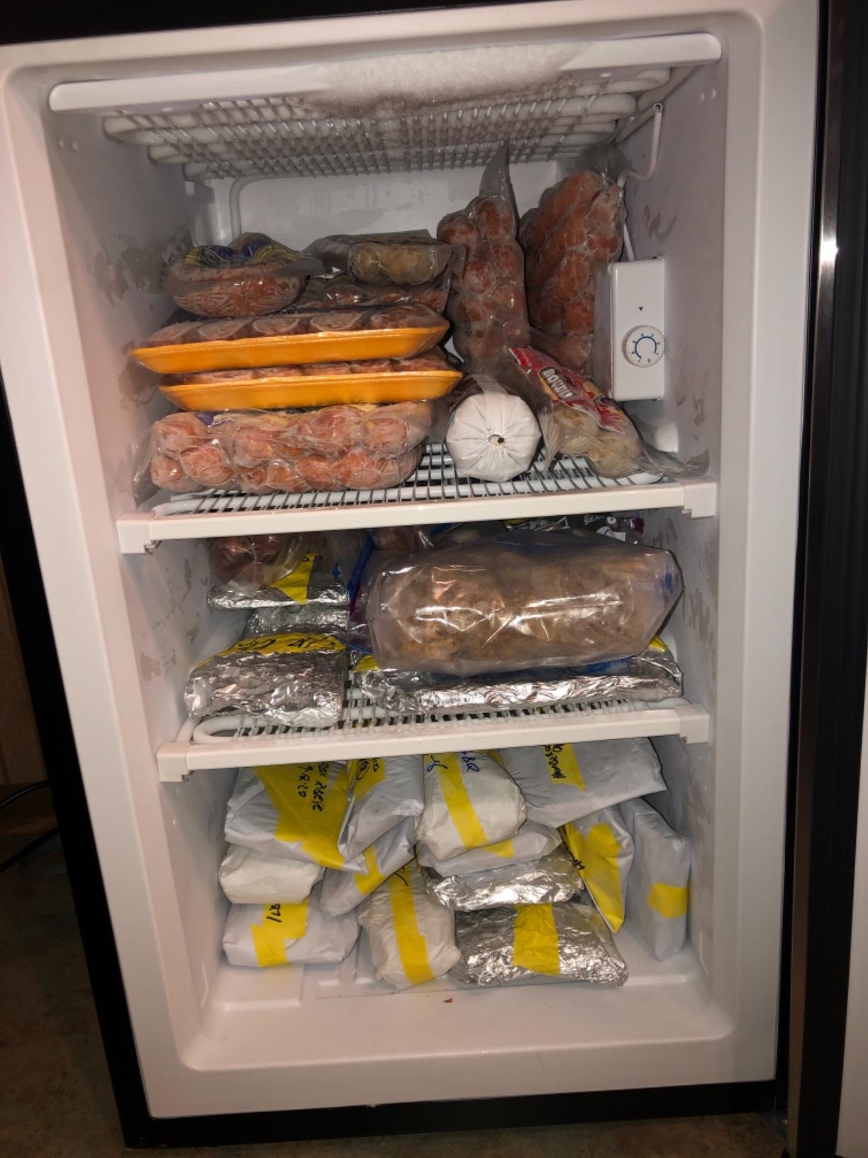 Kismile Small Freezer Upright, 3.0 Cu.ft Mini Freezer, Stainless Steel customer photo 2