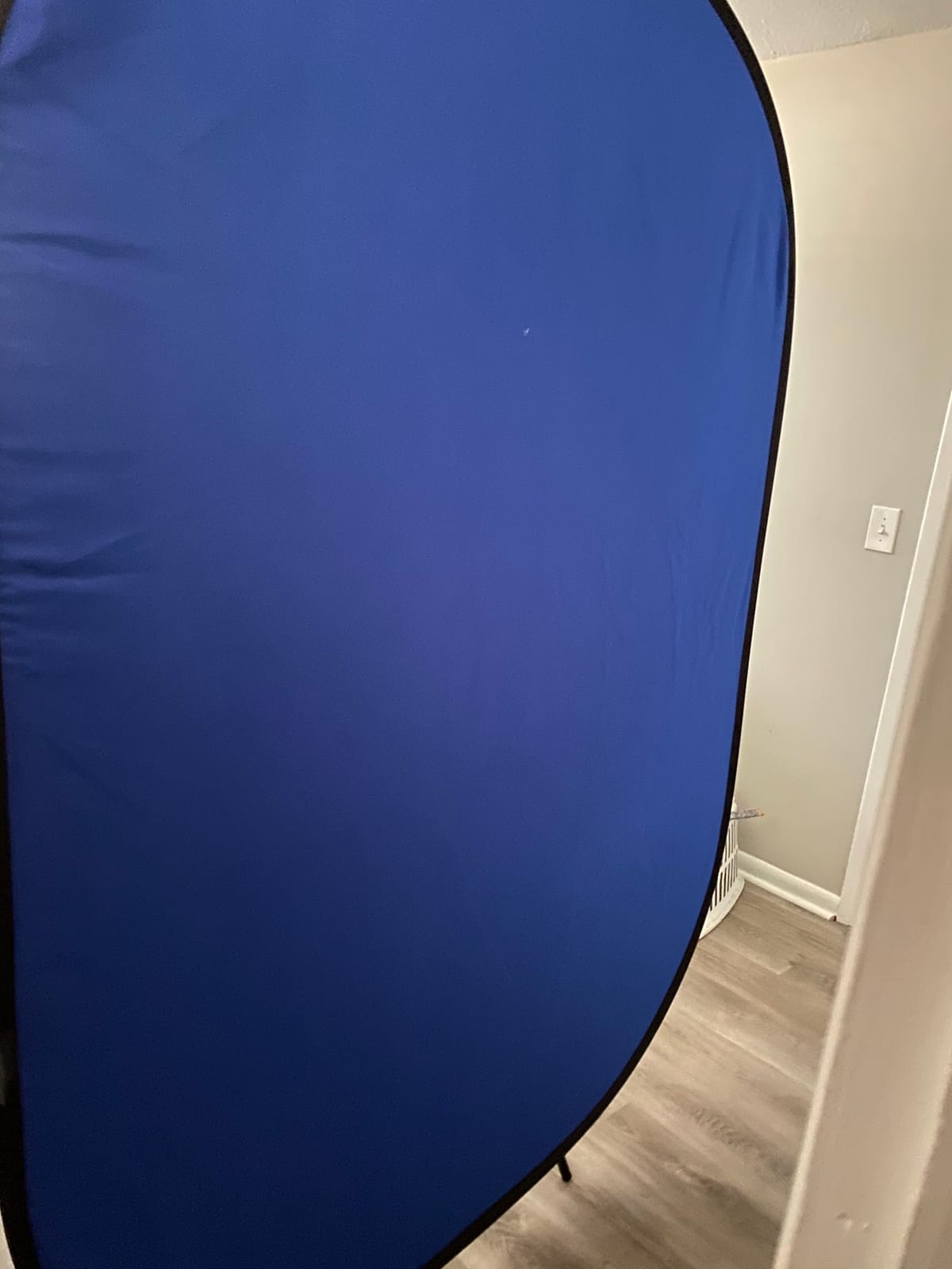 NEEWER 5x7ft/1.5x2m Chromakey Foldable Backdrop with Stand 8.5ft/2.6m | 2 in 1 Reversible Blue Green Background Panel, for Photography Studio, Live Streaming, Video Calls, Games customer photo 1