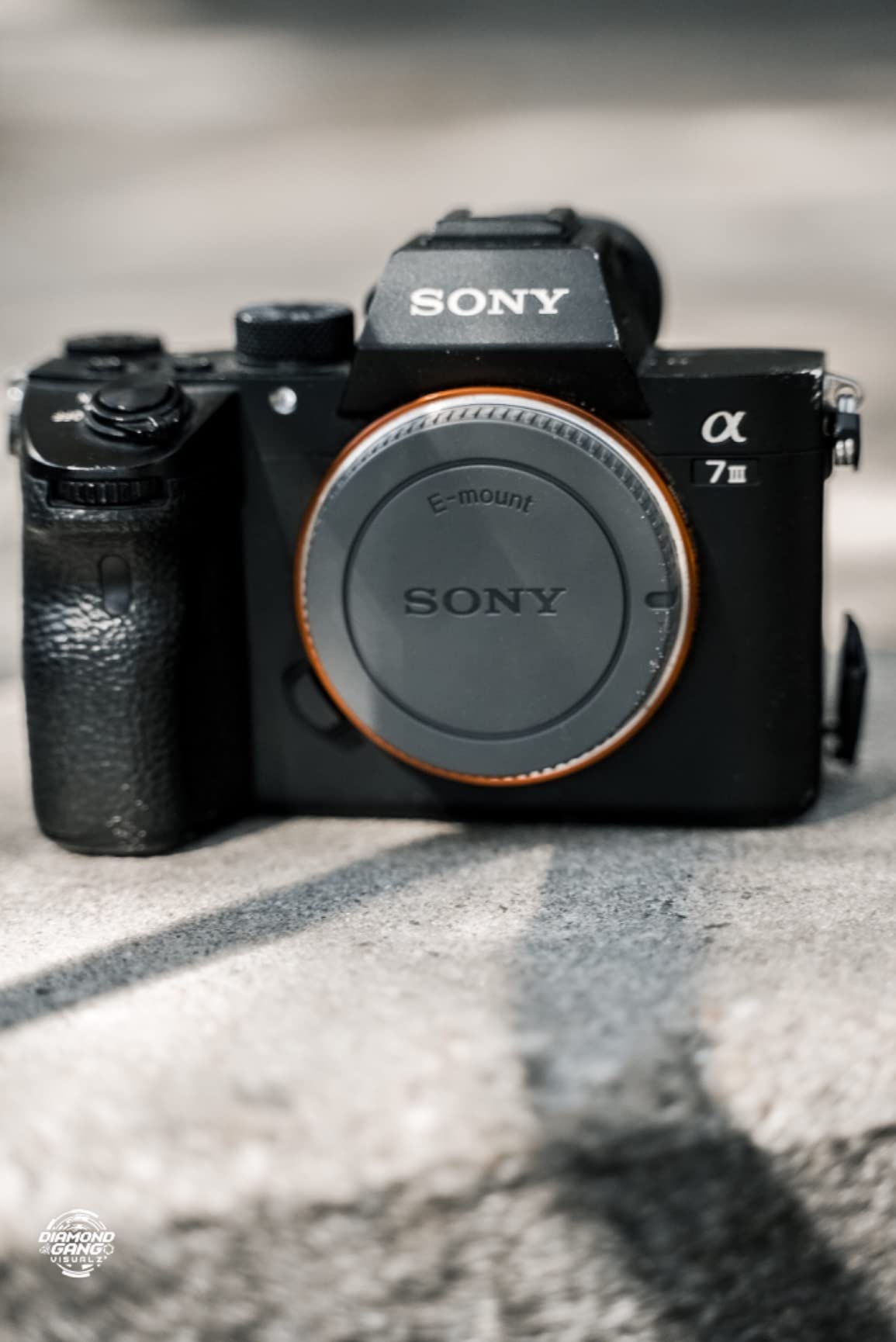 Sony Alpha a7S III Full-Frame Mirrorless Camera Body Black customer photo 2