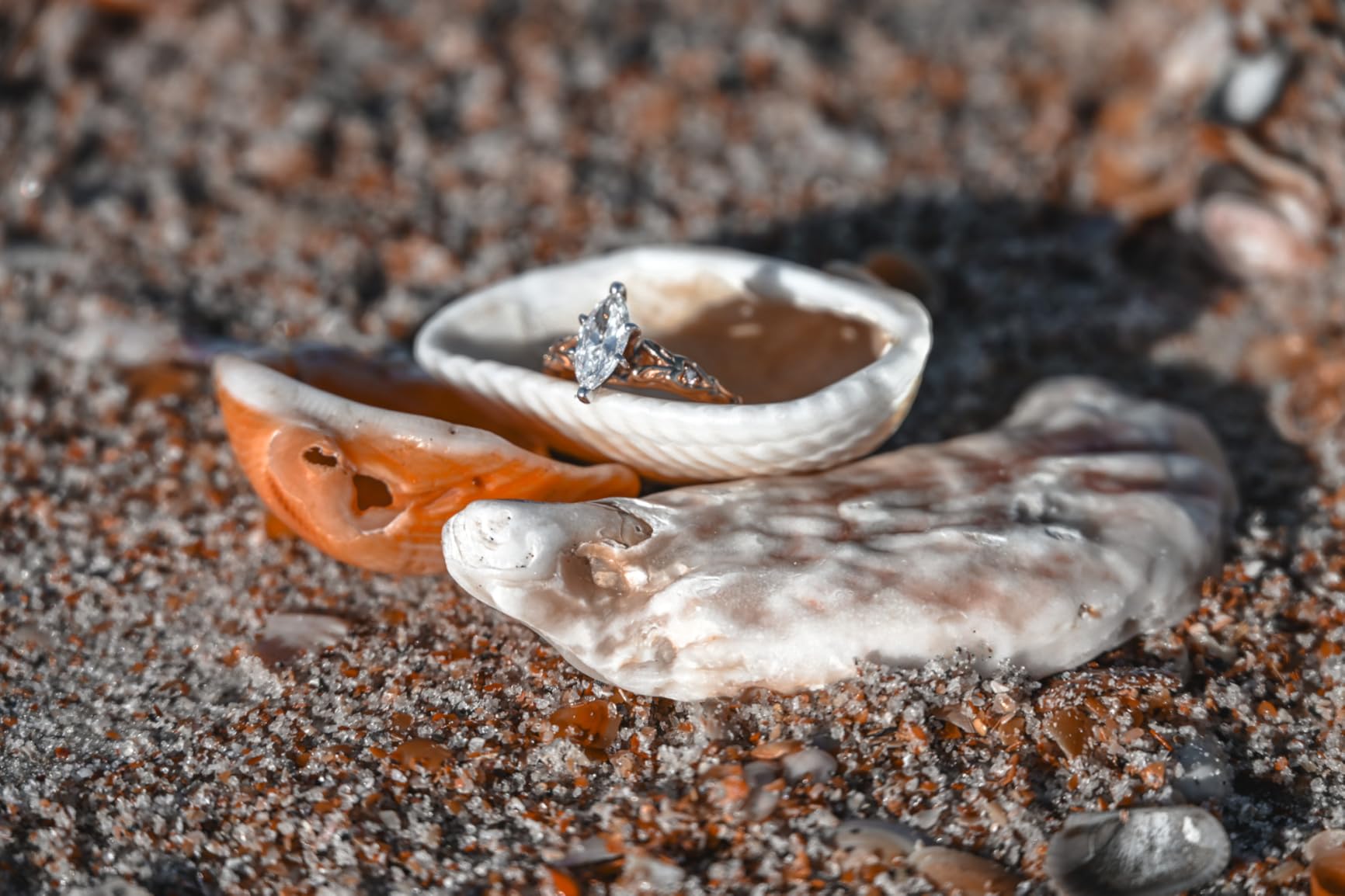 Nikon Z 7II | Ultra-high Resolution Full-Frame mirrorless Stills/Video Camera | Nikon USA Model customer photo 2