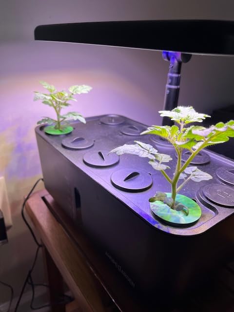 Ahopegarden Indoor Garden Hydroponics Growing System: 10 Pods Kit with LED customer photo 2