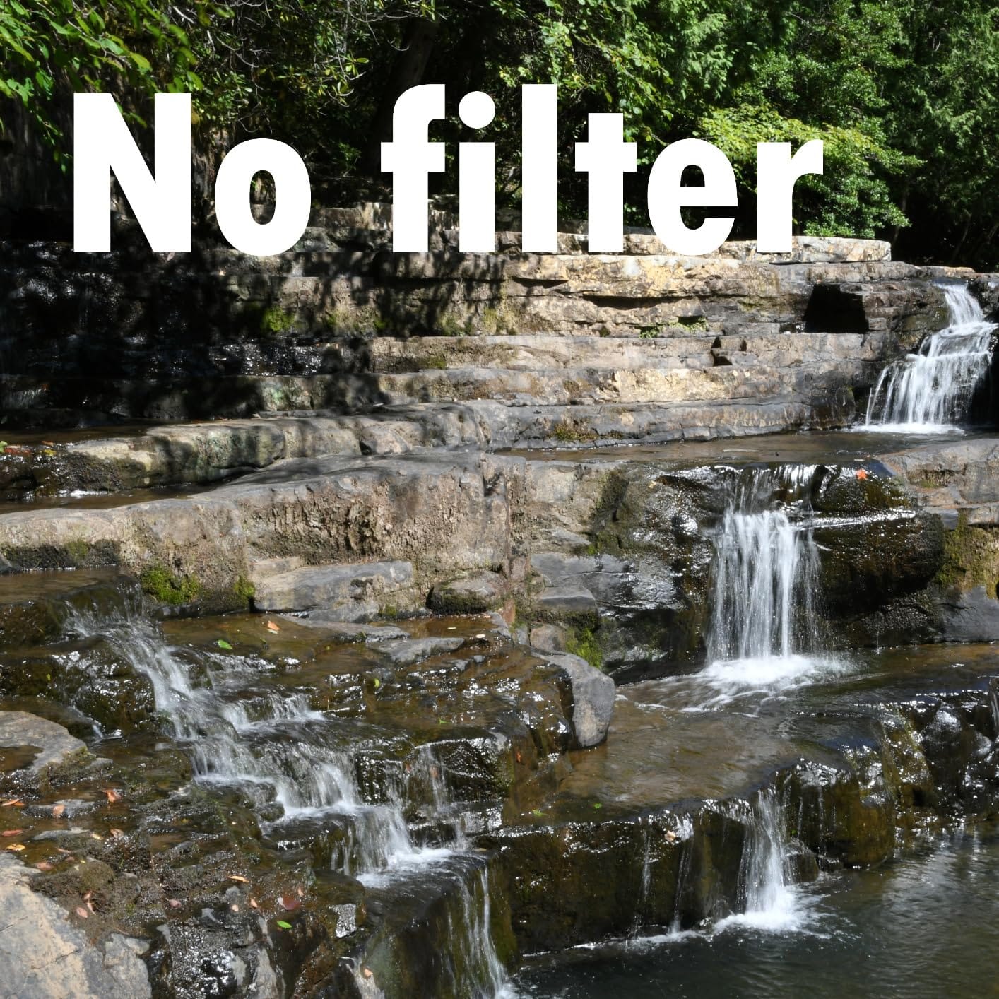 NEEWER 2 in 1 67mm Variable ND & CPL Filter, ND2-ND32 & Circular Polarizer customer photo 1