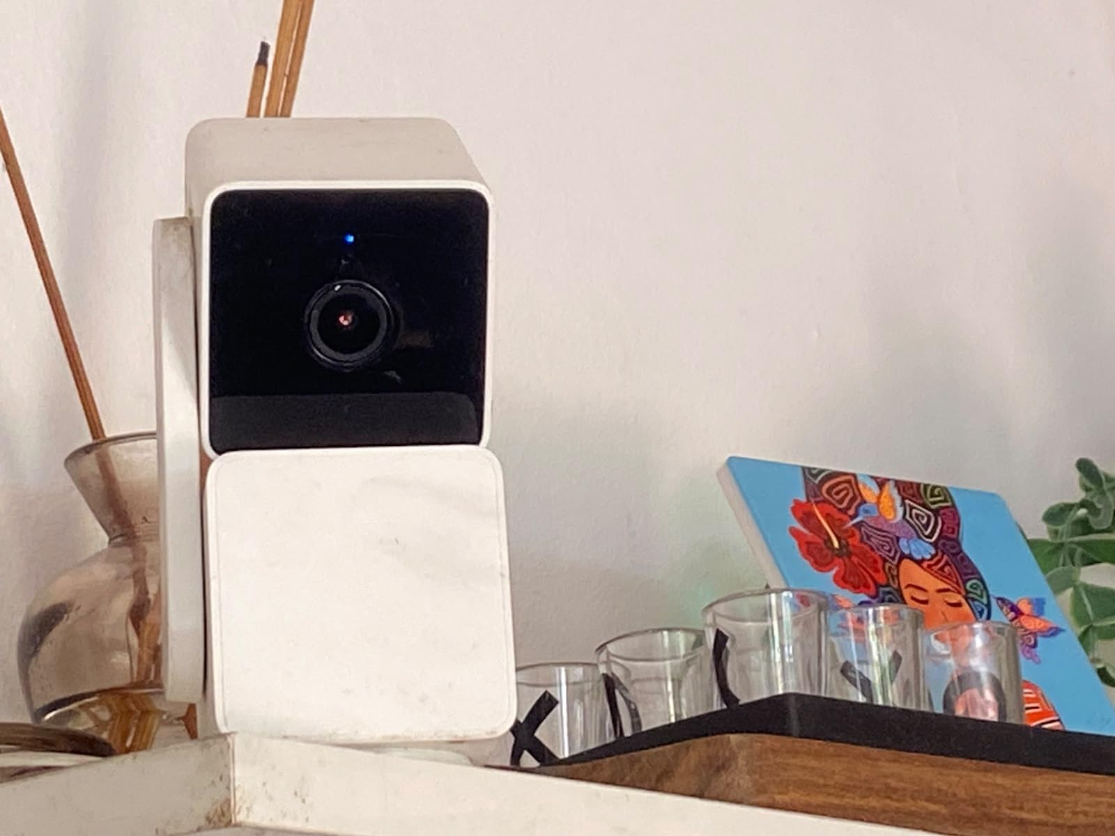WYZE Cam Pan v3, Indoor/Outdoor Security Camera with 360° Pan/Tilt/Zoom customer photo 1