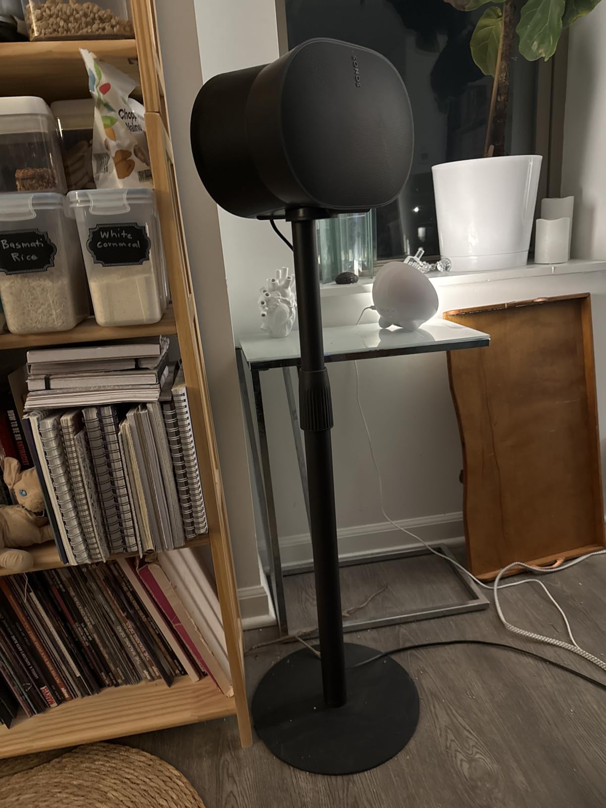 Sonos Era 300 Wireless Smart Speaker with Dolby Atmos - White customer photo 1