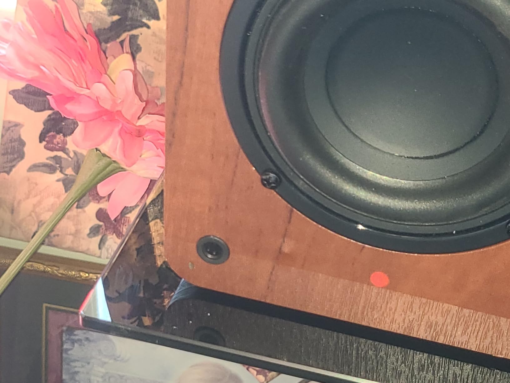 Saiyin Powered Bluetooth Bookshelf Speakers | 30W*2, 3.75 Inches Woofer, Bluetooth/Optical/Auxiliary/RCA Inputs, TV/Turntable/Record Player/Computer/PC customer photo 1