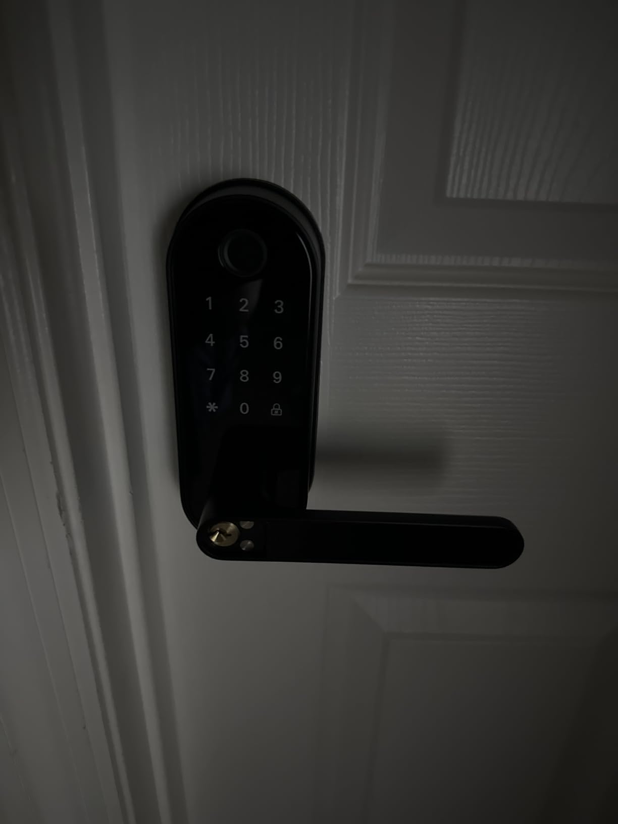 Bluetooth Fingerprint Smart Lock with Handle & Keypad – Fits Most US Doors, DIY Install, Keyless Entry: Code, FOB, Auto-Lock. Ideal for Home, Airbnb, Rental, Kids, Seniors. Alexa & Google Compatible customer photo 1