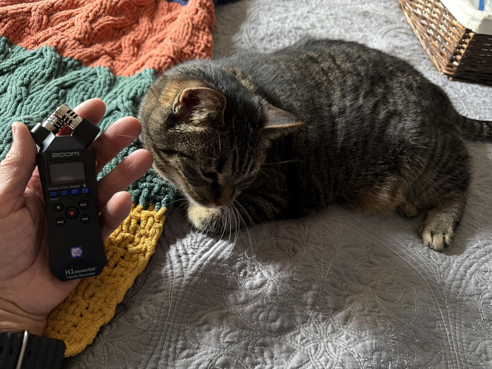 Zoom H1 Essential Recorder for Musicians, Podcasters & Content Creators customer photo 2