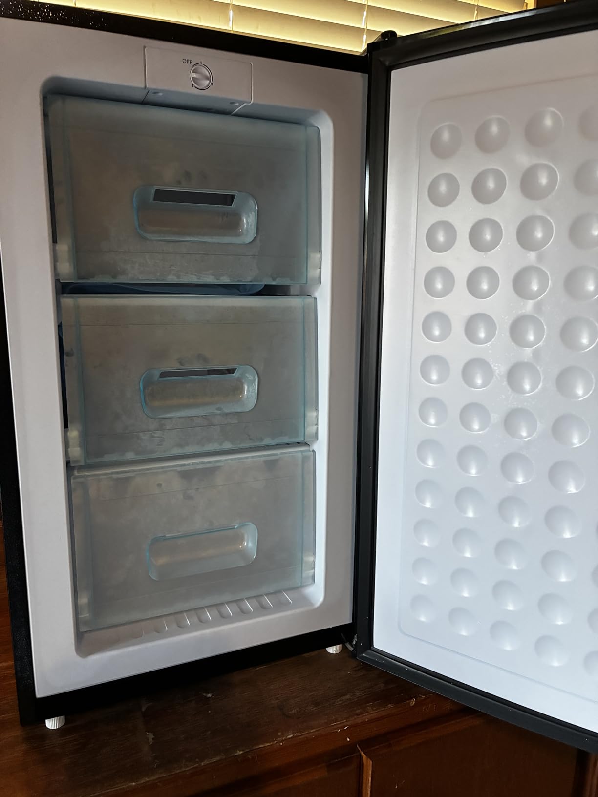 Maine 3.6 Cu. Ft. Small Upright Freezer, Compact Mini Freezer, Silver customer photo 1