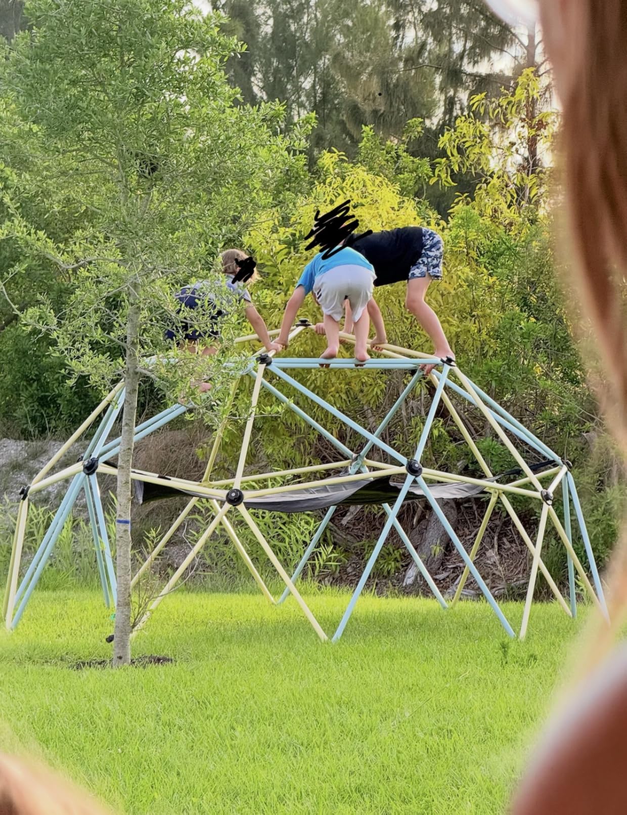 VEVOR Climbing Dome for Kids 3 to 10 Years Old 10FT Geometric Dome Climber customer photo 1