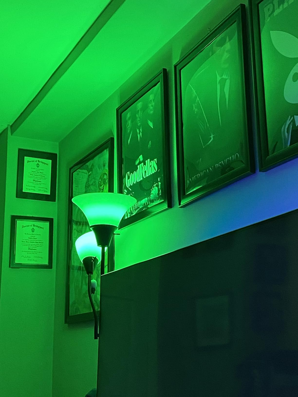 WiZ Connected Smart Light Bulbs, Sunset to Sunrise Automation + Motion Detection + Control with Voice or App, Full Color A19 60W 800LM Indoor, Matter Compatible -3 Pack customer photo 1