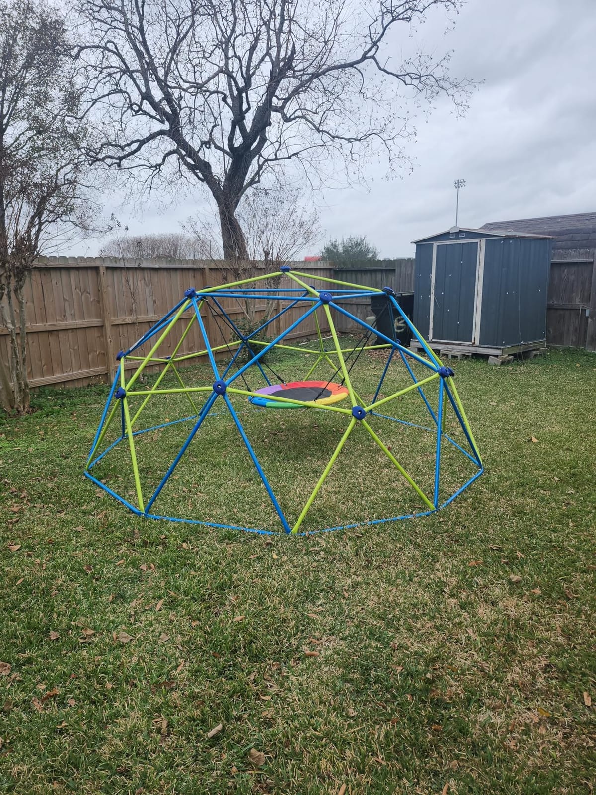 Amictoy Climbing Dome with Hammock and Swing, 10FT Backyard Jungle Gym customer photo 2