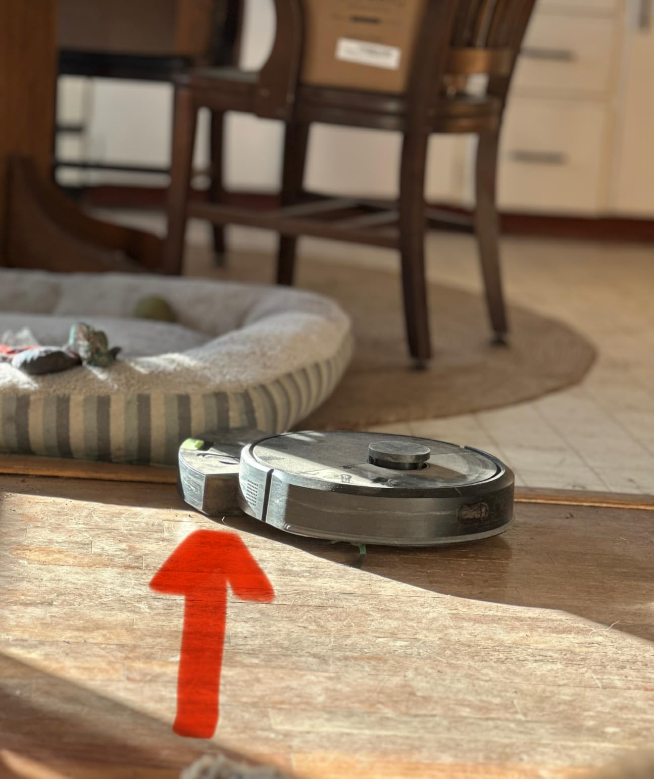 iRobot Roomba 105 Vac Robot Vacuum - Easy to use, Intense Power-Lifting Suction, LiDAR Navigation, Multi-Surface Cleaning, Cleans in Neat Rows, Self-Charging customer photo 1
