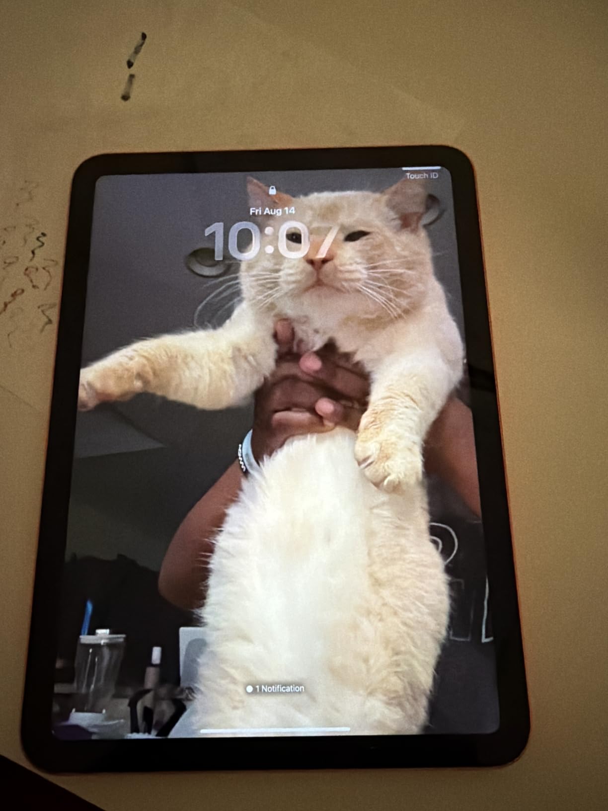 Apple iPad 11-inch: A16 chip, 11-inch Model, Liquid Retina Display, 128GB, Wi-Fi 6, 12MP Front/12MP Back Camera, Touch ID, All-Day Battery Life — Blue customer photo 1