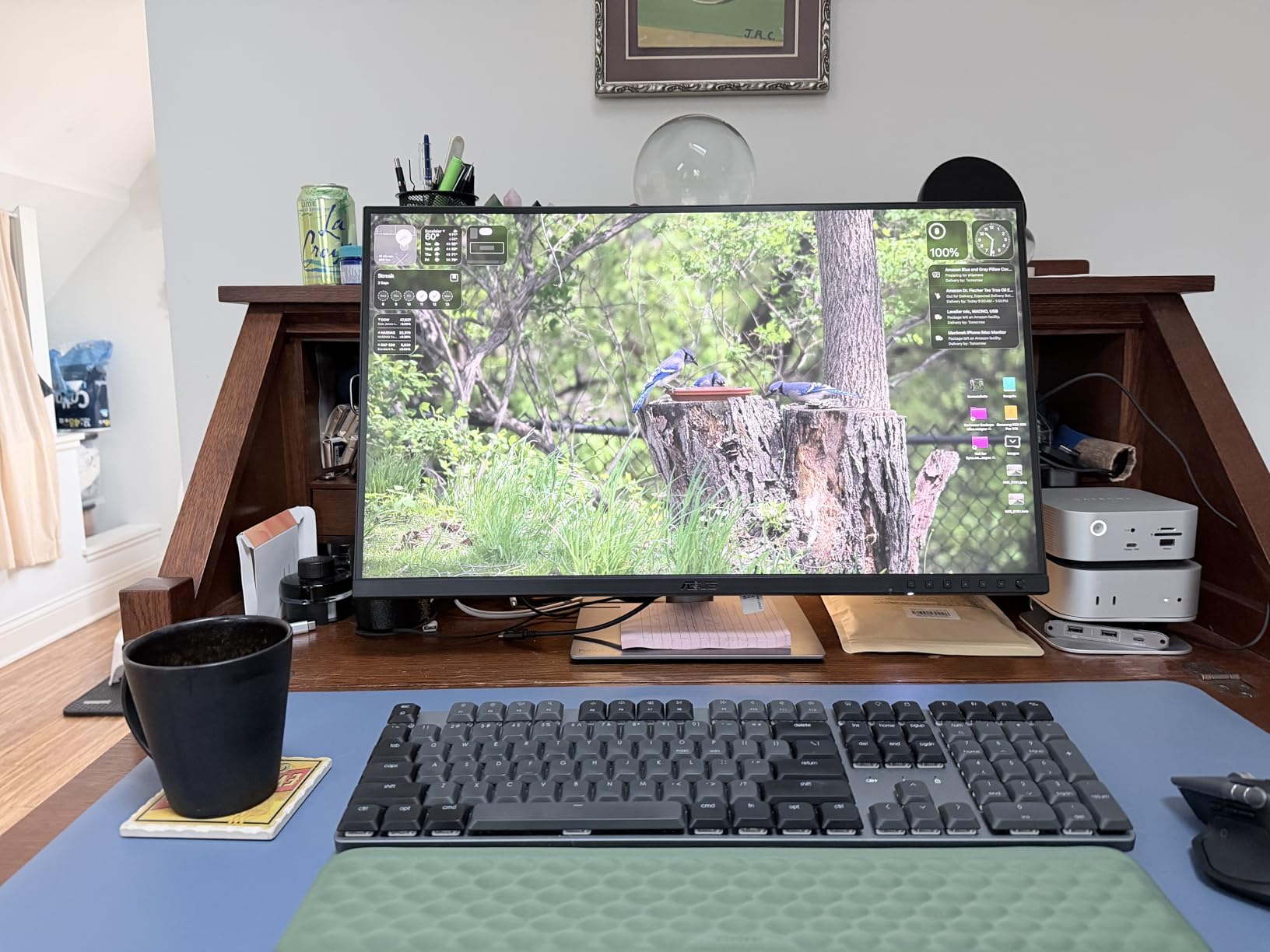 ASUS ProArt PA278CGRV 27 Inch 1440p USB-C Professional Monitor for Mac customer photo 2