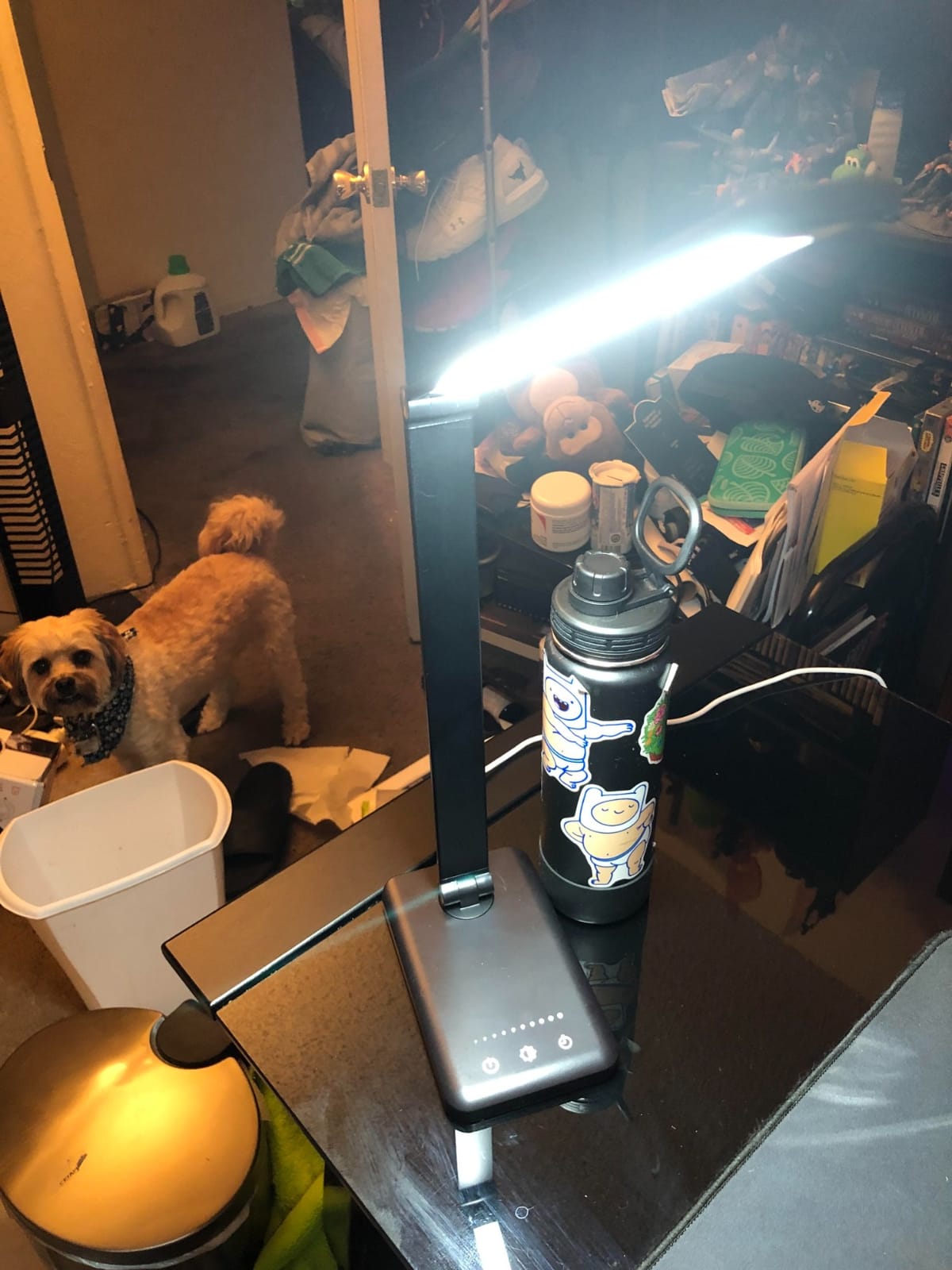 MOICO LED Desk Lamp with Clamp for Office Home- customer photo 1