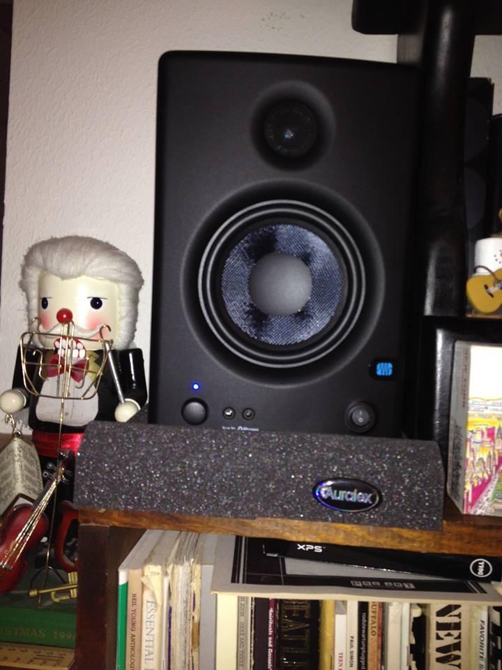 PreSonus Eris E5 Pair 2-Way 5.25” Near Field Studio Monitors customer photo 1