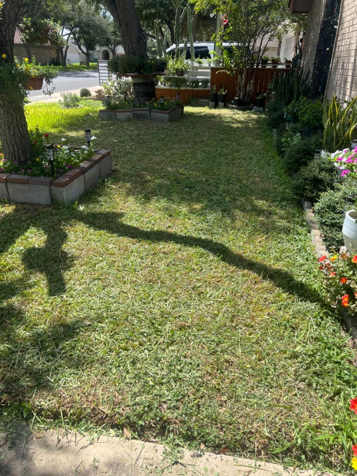 Scotts 304-14S 14-Inch 5-Blade Push Reel Lawn Mower, Green customer photo 1