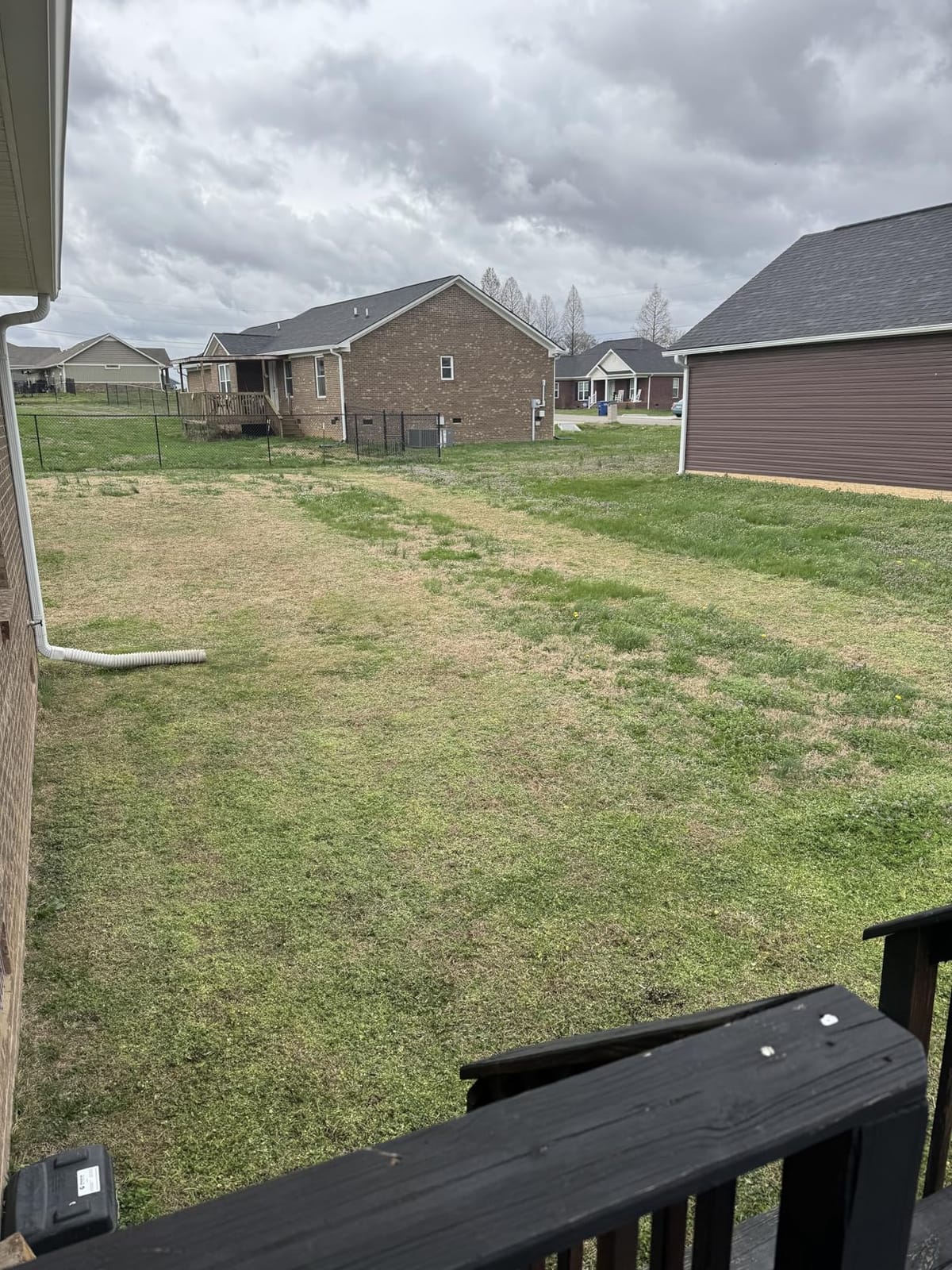 Scotts 304-14S 14-Inch 5-Blade Push Reel Lawn Mower, Green customer photo 2