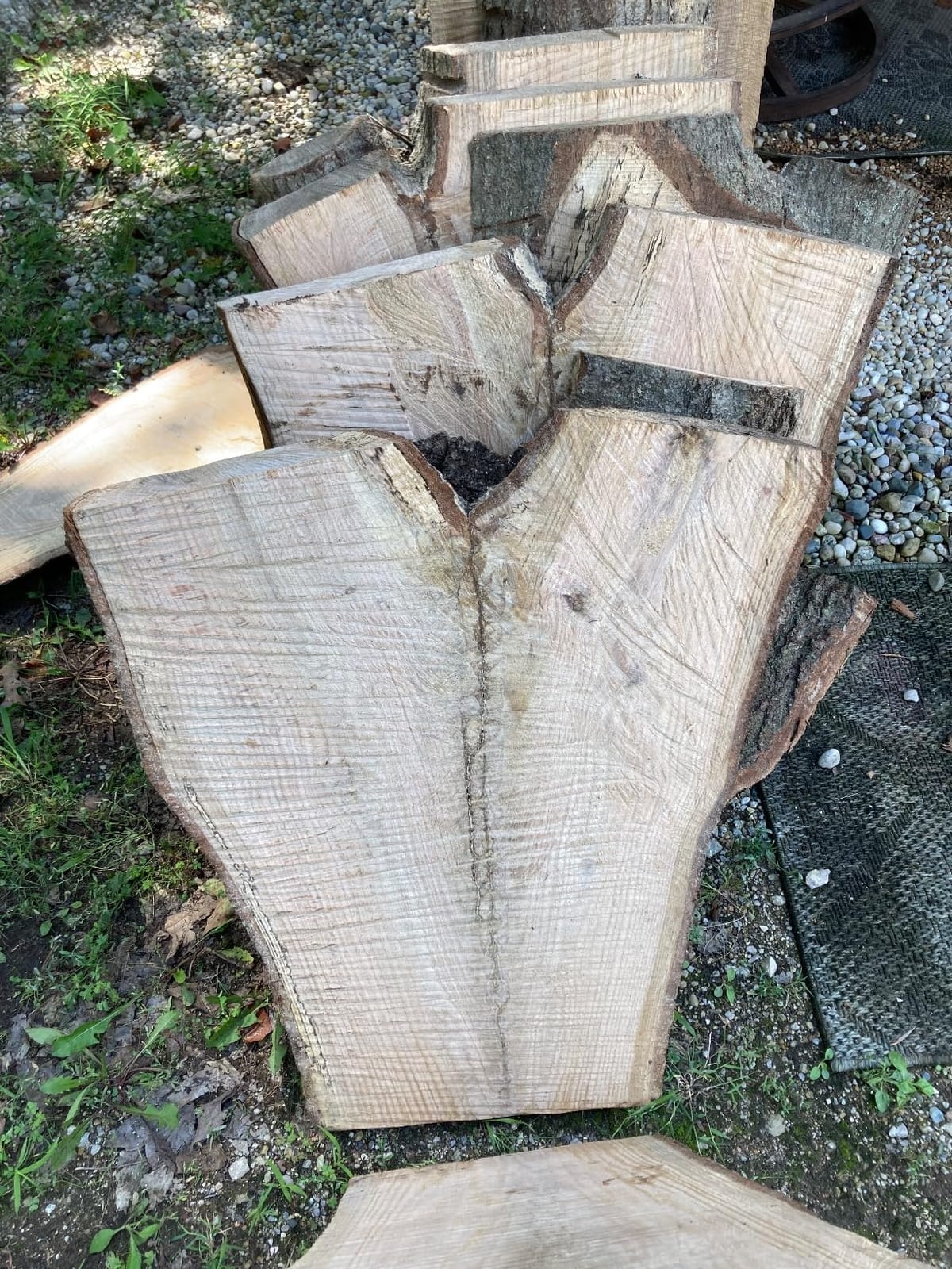 BLACK+DECKER Electric Chainsaw Corded, 18-Inch, 15-Amp Lightweight Chain Saw with Automatic Oiler (CS1518) customer photo 2