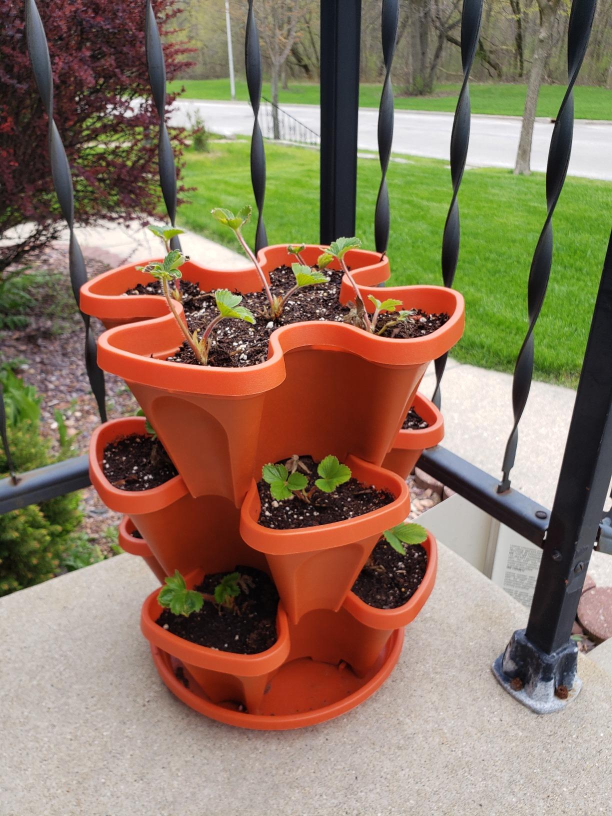 3 Tier Stackable Garden,Indoor,Outdoor Vertical Planter Set,Self Watering Tiers From Top Down,Smart Planting Pots,Used for Strawberries Herbs Peppers Flowers and Succulents (Stone) customer photo 1