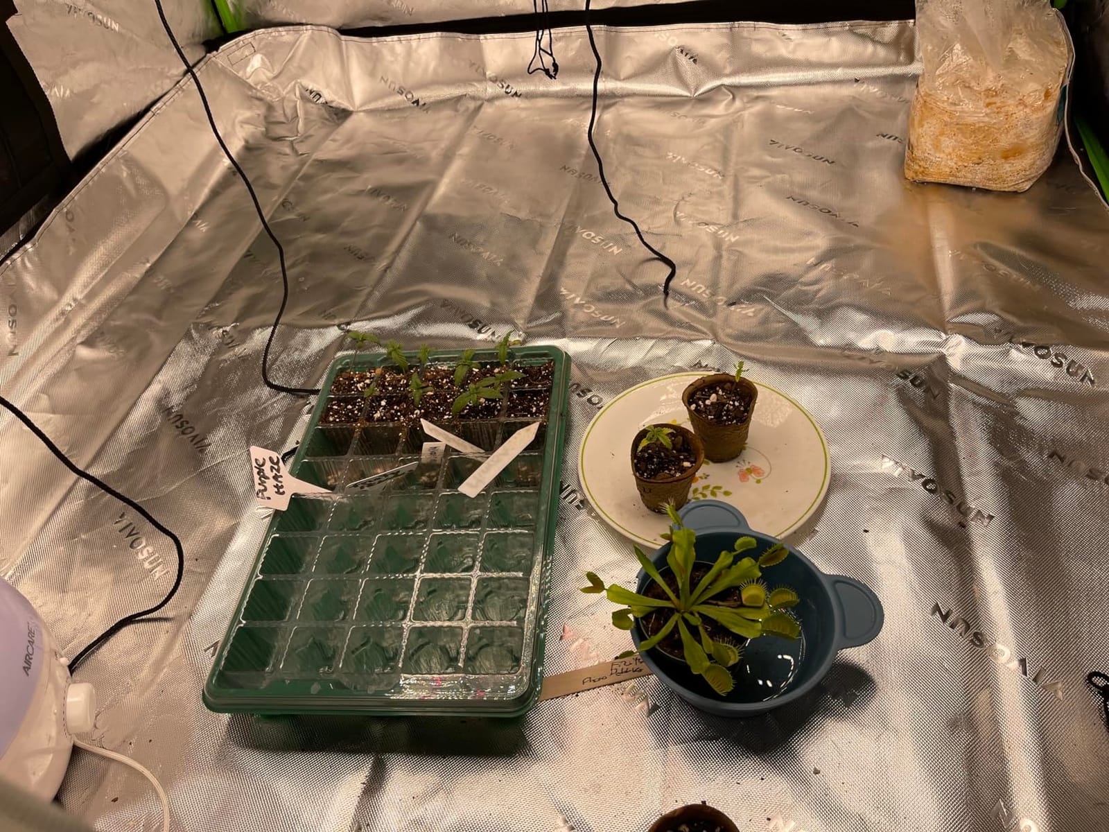 Humboldts Secret Starter Kit Pack, Plant Fertilizer & Hydroponic Nutrients customer photo 1