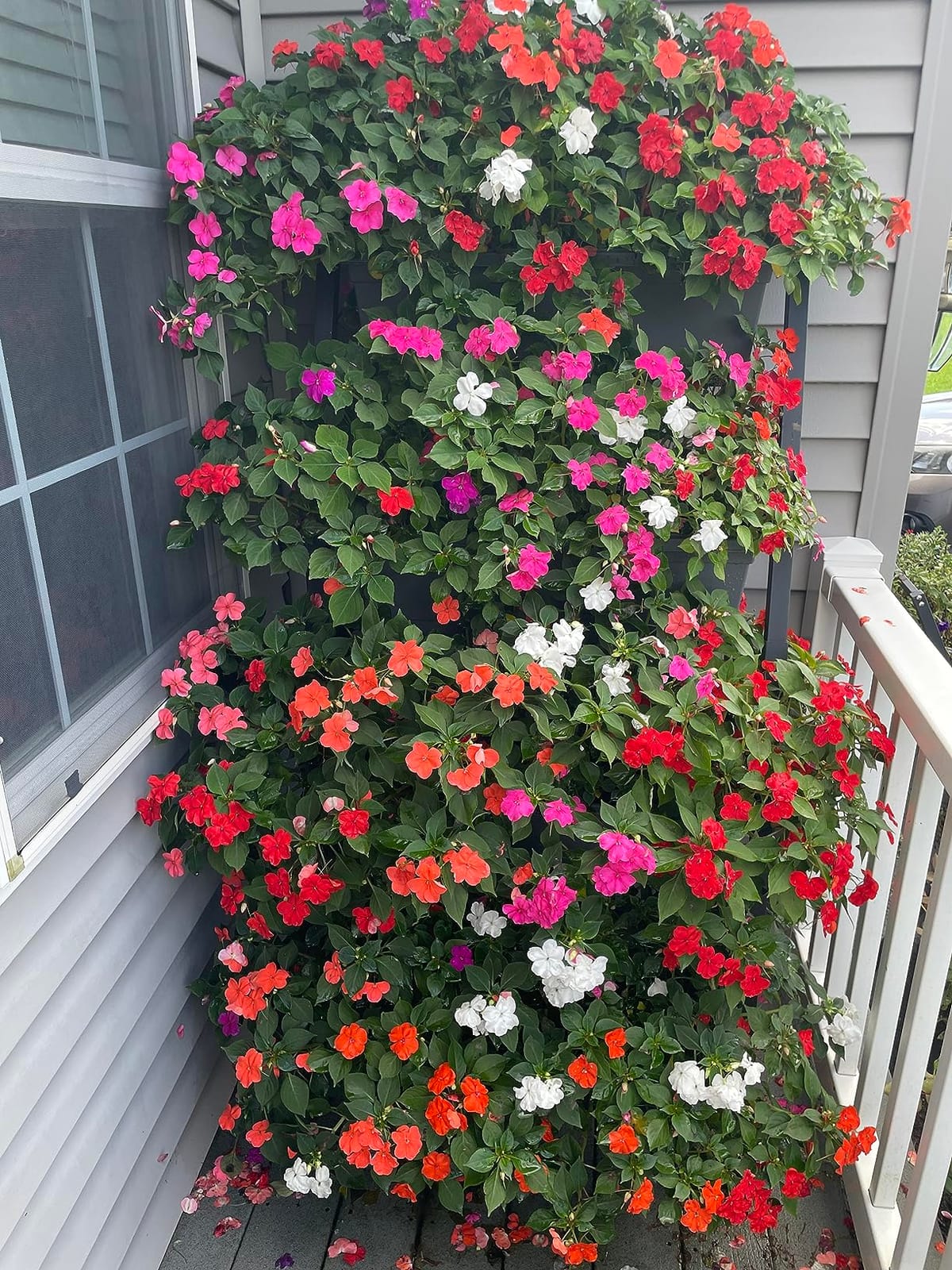 6-Ft Raised Garden Bed - Vertical Garden Freestanding Elevated Planter with 4 Container Boxes - Good for Patio or Balcony Indoor and Outdoor - Perfect to Grow Vegetables Herbs Flowers customer photo 1