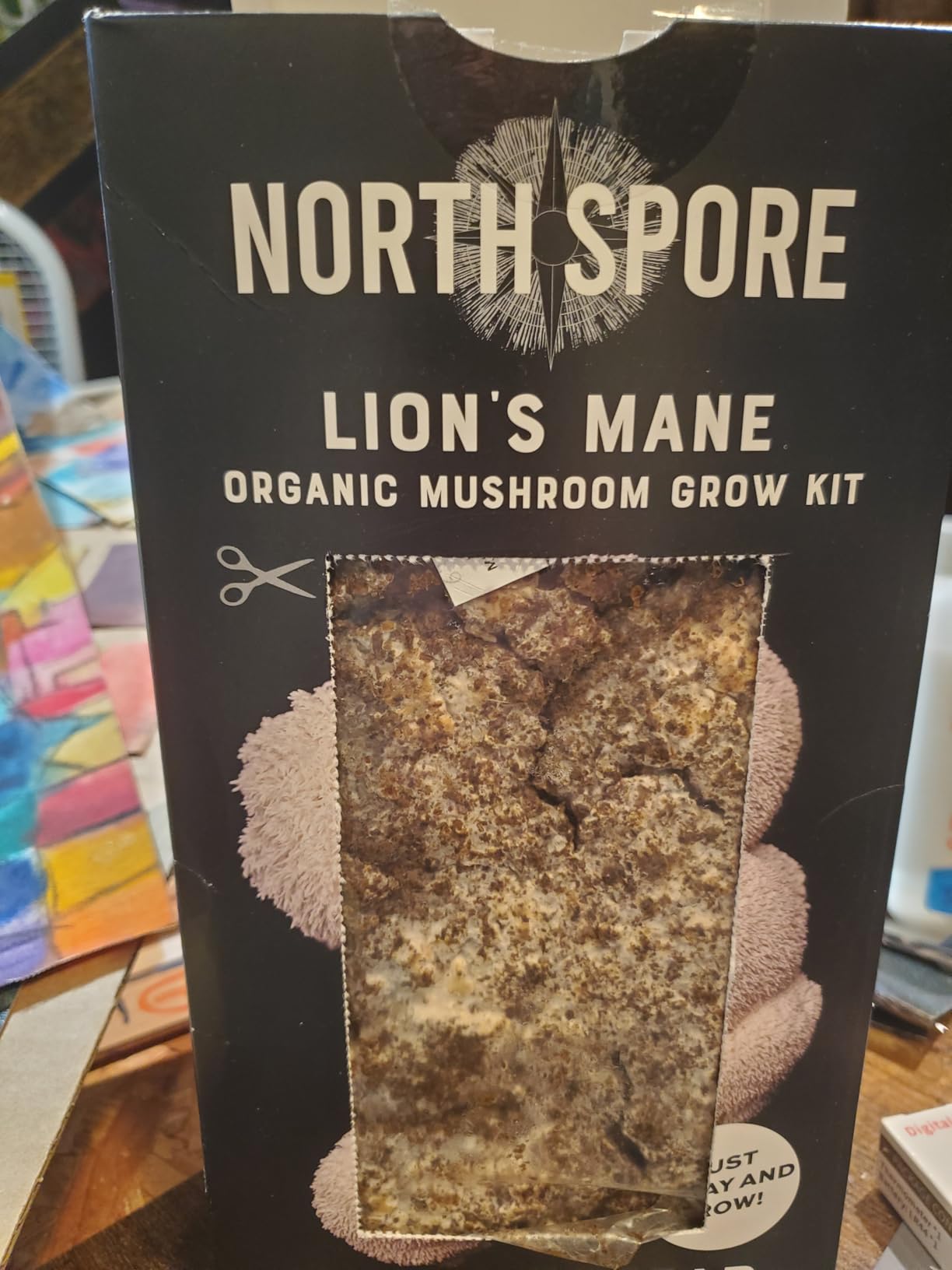 North Spore Organic Lion's Mane Mushroom Grow Kit, 4 lbs customer photo 2