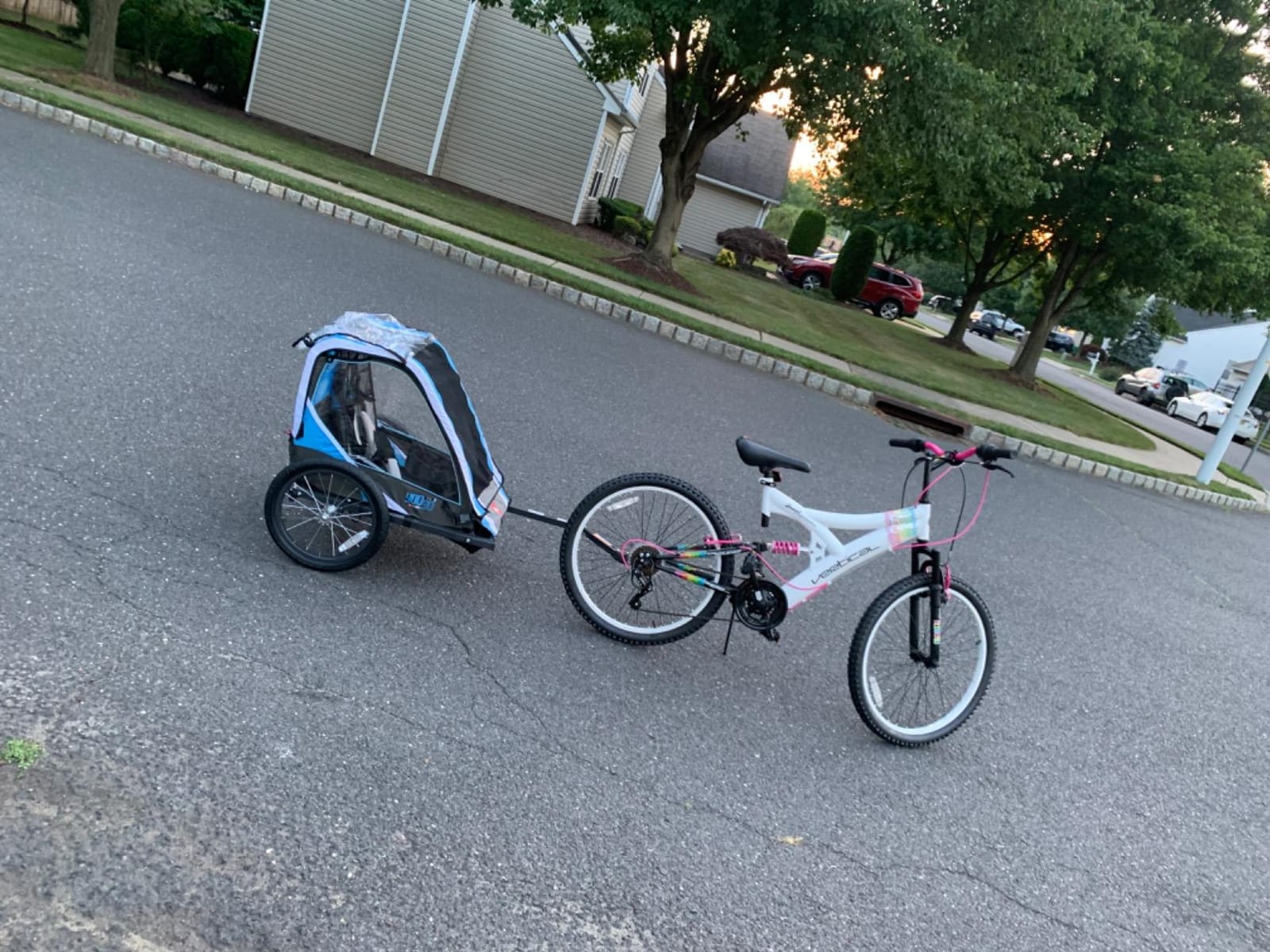 Allen Sports Deluxe Steel Child Trailer customer photo 1