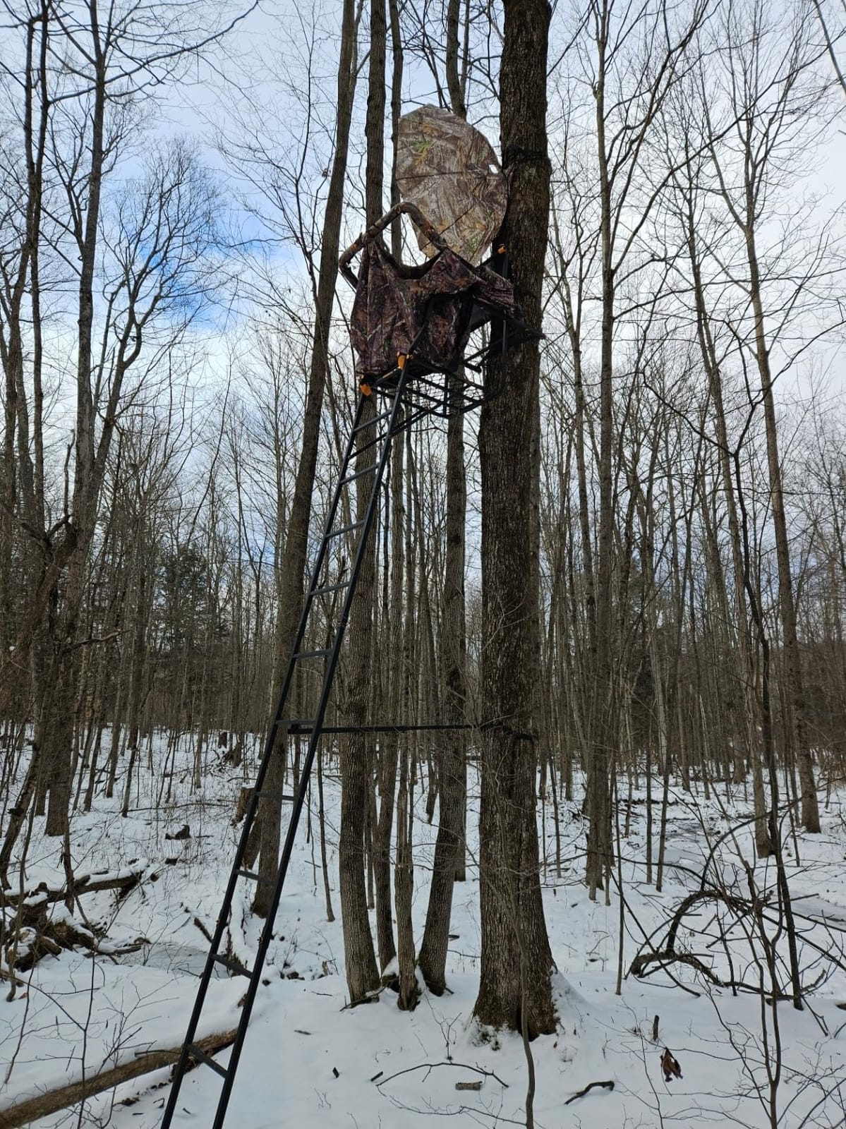 Muddy 1-Person Huntsman Deluxe Steel Ladder Tree Stand, 17 ft Tall customer photo 1