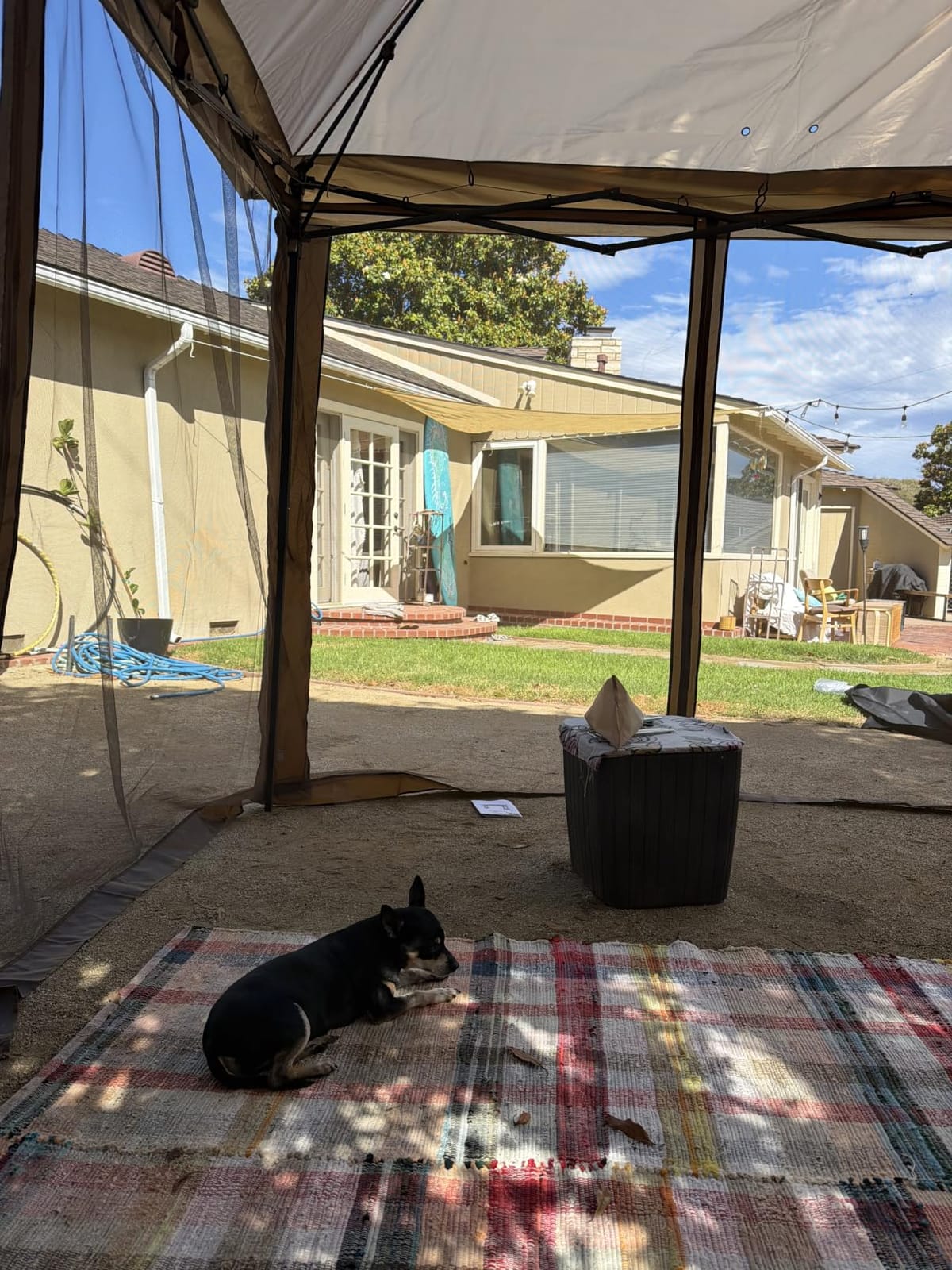 COOS BAY 11x11 Pop Up Gazebo with Netting, Canopy Tent, Beige customer photo 2