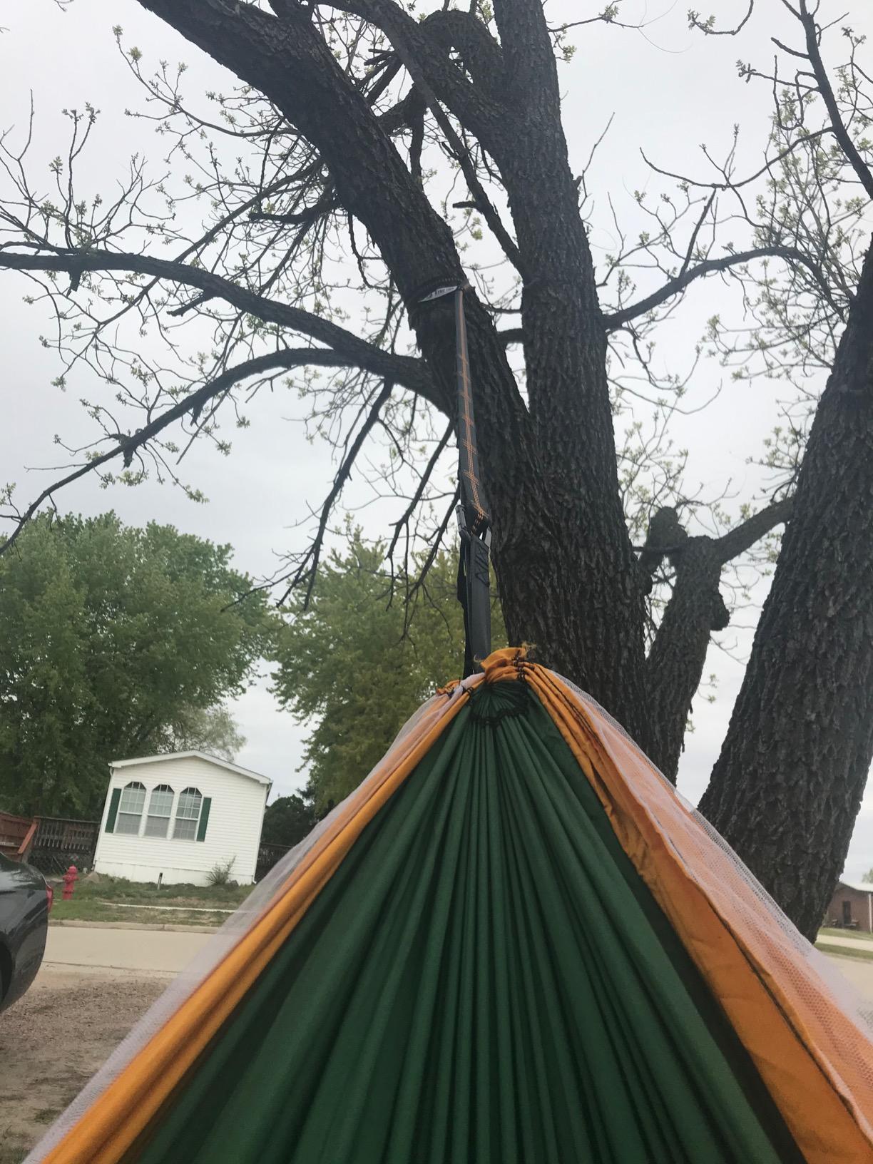 Ryno Tuff X-Large 2 Person Camping Hammock with Mosquito Net - Compact Double Hammock with Bug Net, Pocket, Tree Straps & Heavy Duty Carabiners - Parachute Grade Nylon Can Hold Over 600lbs of Weight customer photo 2
