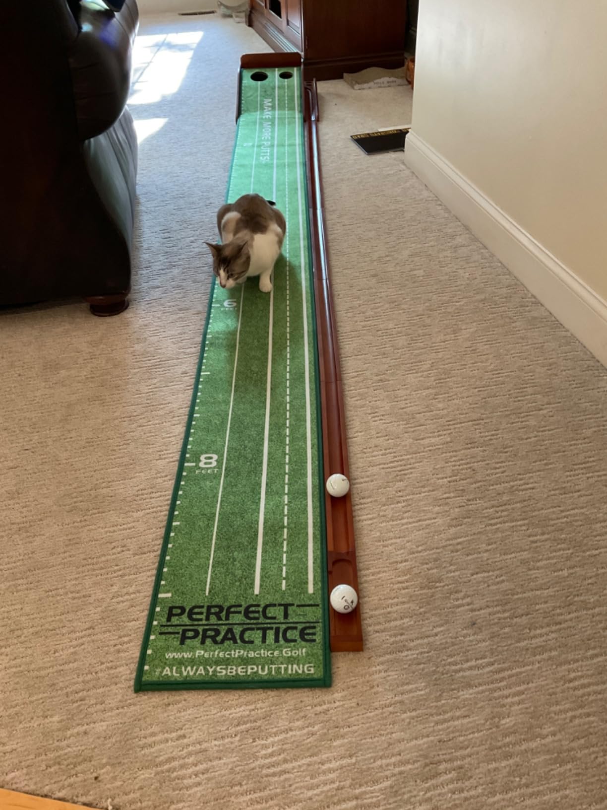 Perfect Practice Standard 9' Putting Mat - Indoor Putting Green customer photo 2
