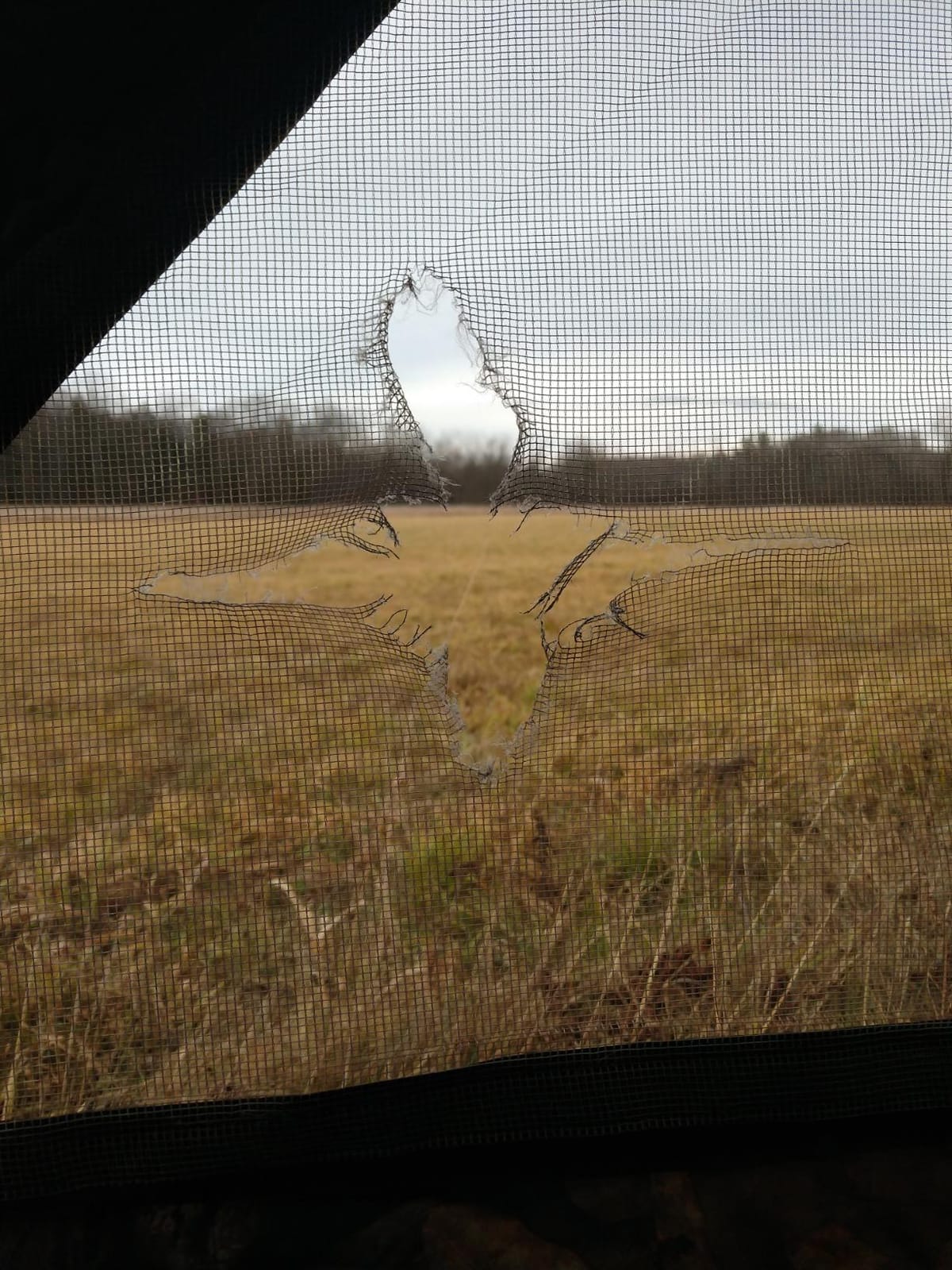 Ameristep Care Taker Ground Blind, Mossy Oak Break Up Country, Model: None customer photo 1