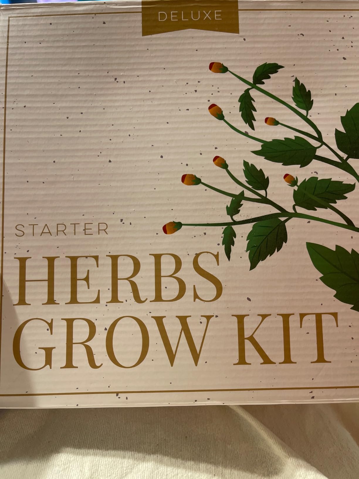 HOME GROWN 8 Herb Garden Kit, Indoor Growing Kit, Gardening Gifts for Women customer photo 1