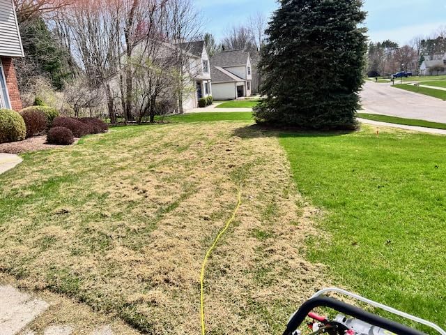 Sun Joe 15-Inch Lawn Dethatcher with Scarifier Blade Reel, AJ805E customer photo 1