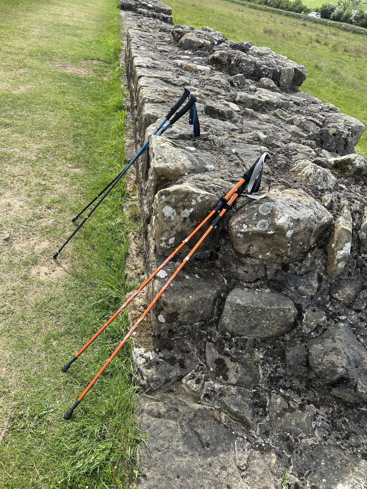 Covacure Hiking Poles Collapsible, 7075 Aluminum Trekking Poles, 2-Pack customer photo 2