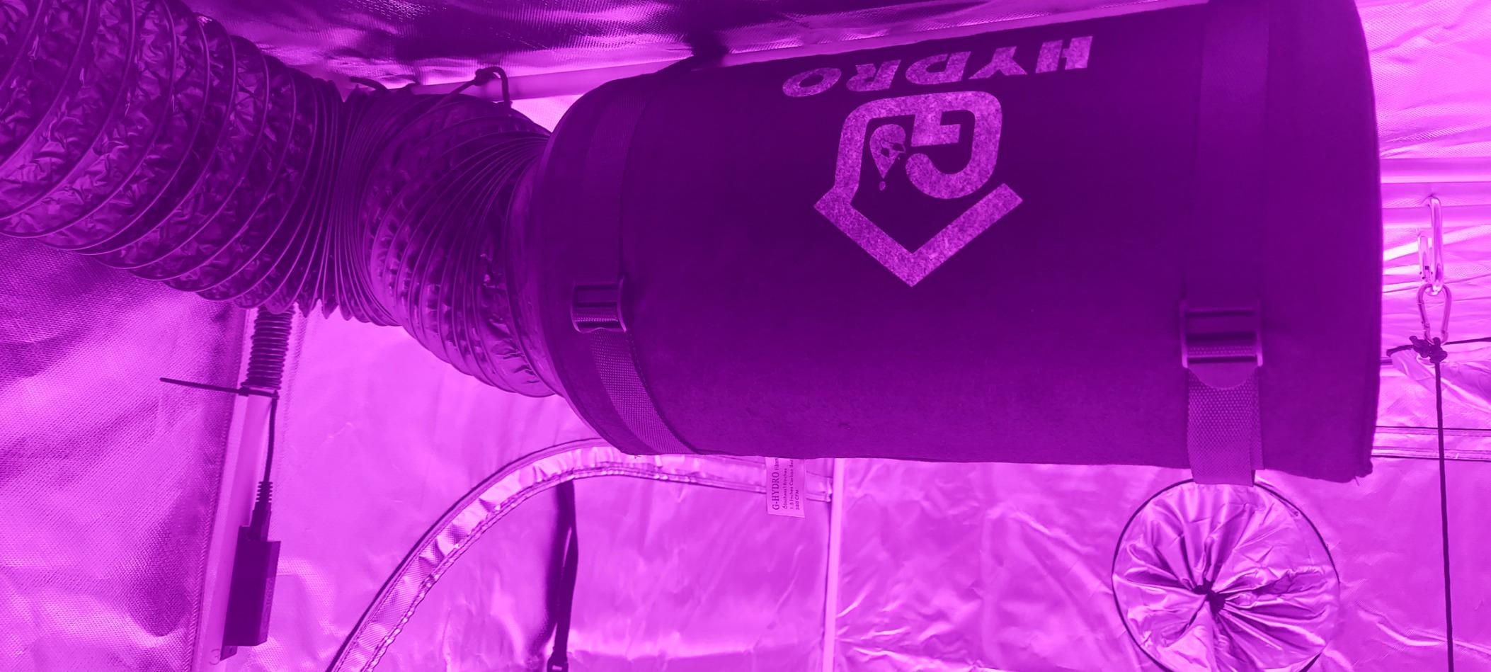 6x12 Inch Carbon Air Filter, Refillable Australian Virgin Charcoal Filter, Replaceable Carbon Design, High Efficiency Odor Control for Hydroponics, Grow Tents & Inline Duct Fans customer photo 2