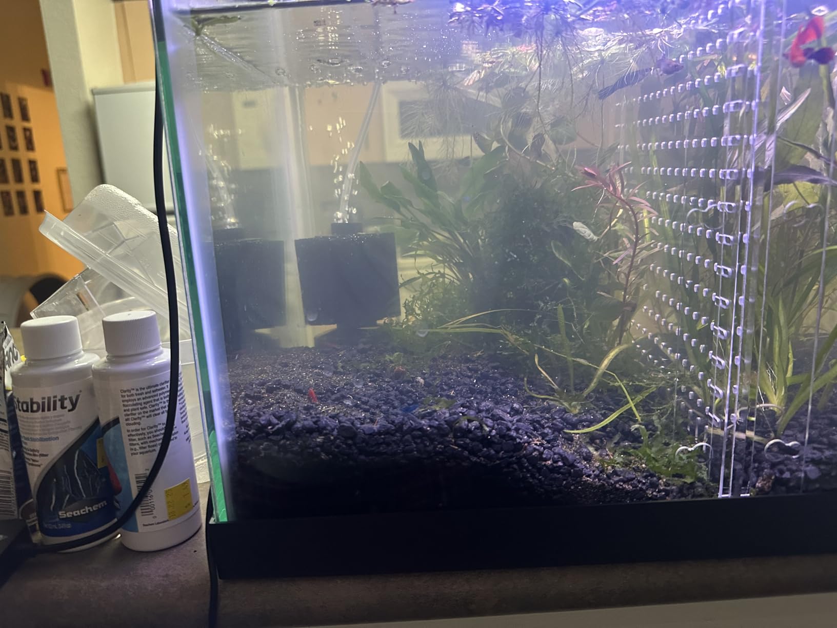 AQUANEAT Aquarium Air Pump for 20-210 Gallon Tank, Fish Air Bubbler, Hydroponic Oxygen Aerator with Stones, Airline Tubing, Check Valves customer photo 2