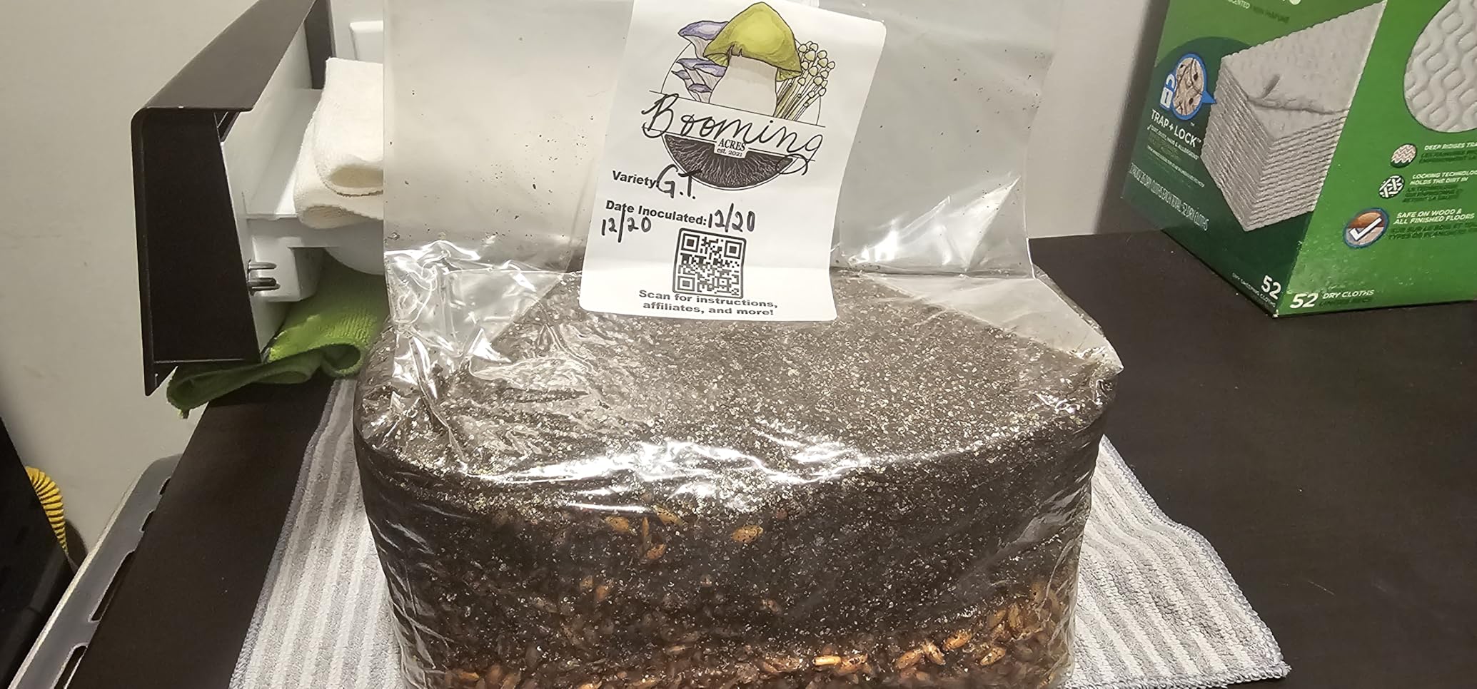 | The Magical 5lb All-in-One Mushroom Grow Bag | Mushroom Grow Kit | Harvest Your own Happiness | Discover the Magic of Growing Mushrooms - 5lb Grow Bag Mushroom Starter Kit customer photo 1
