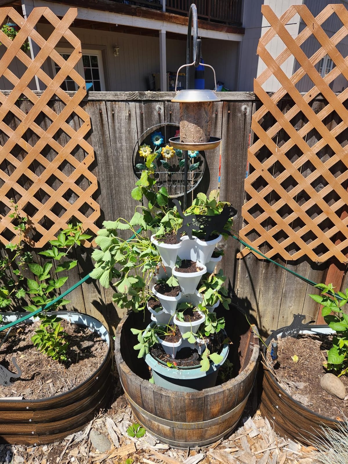 GameXcel Vertical Planter Tower - 5 Tier Stackable Garden Planters with Wheels and Tools Plant Pots for Strawberry Herb Flower and Vegetable Indoor Outdoor Use Teal customer photo 2