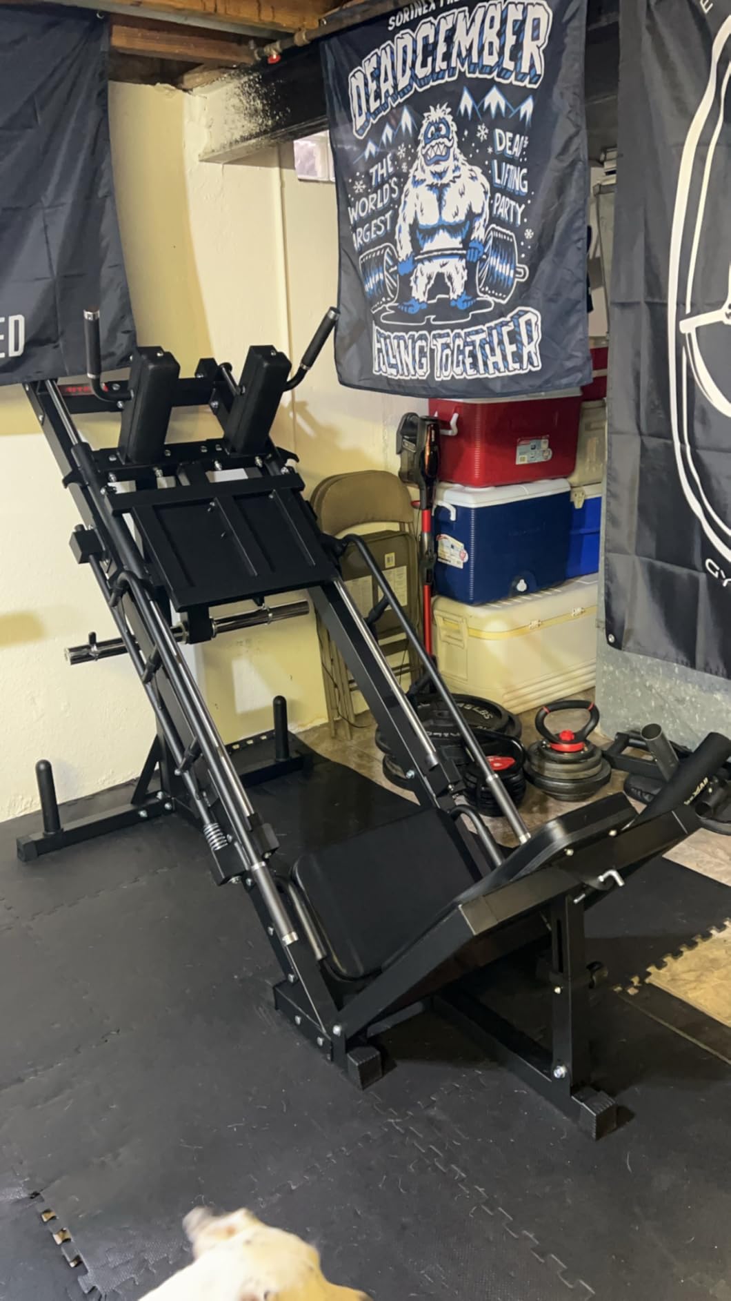 RitFit Leg Press Hack Squat Machine with Linear Bearing, 1200LB Capacity customer photo 1