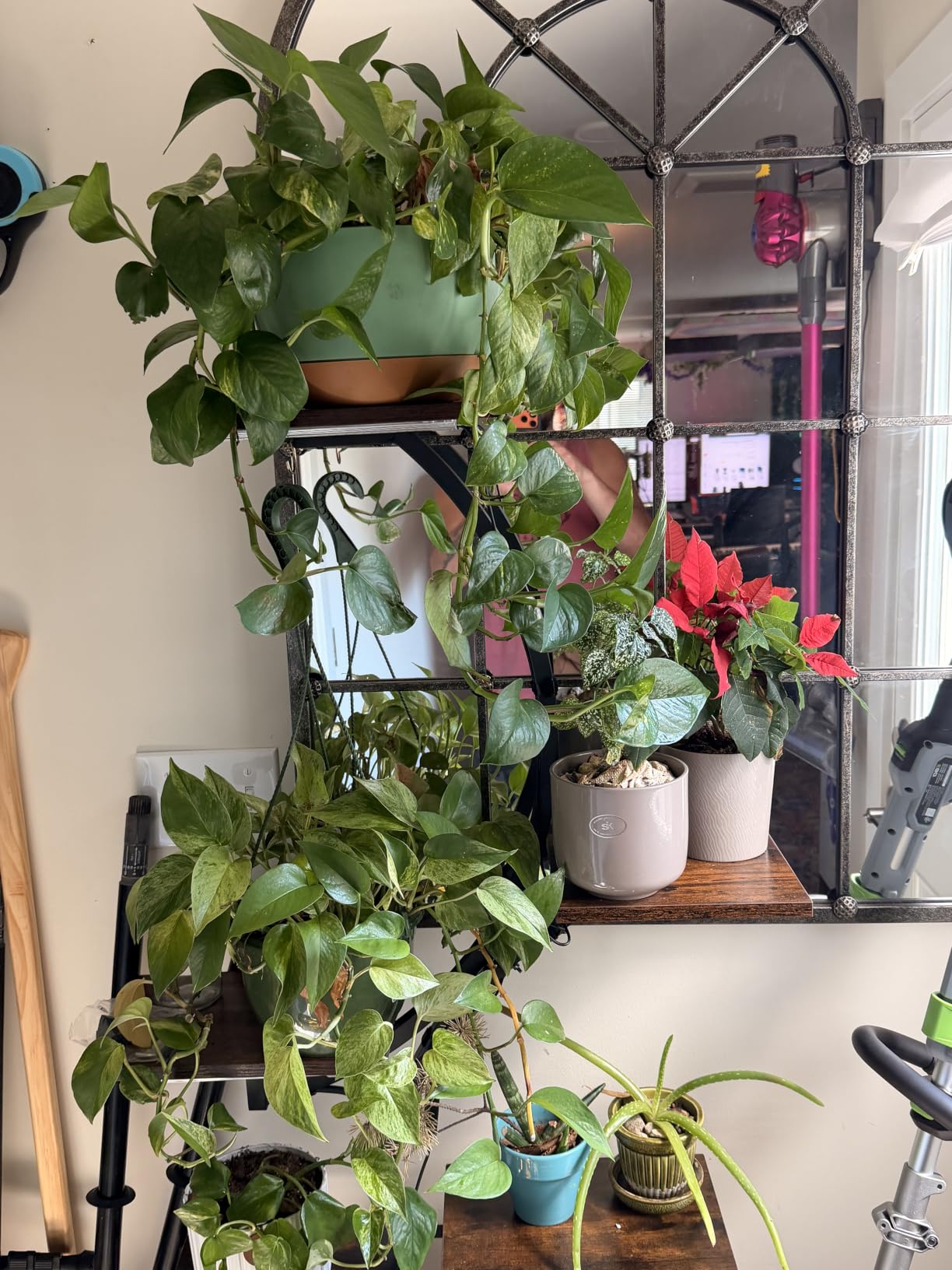 BACEKOLL Plant Stand Indoor with Grow Light, 8 Tier Corner Plant Shelf Tall customer photo 1