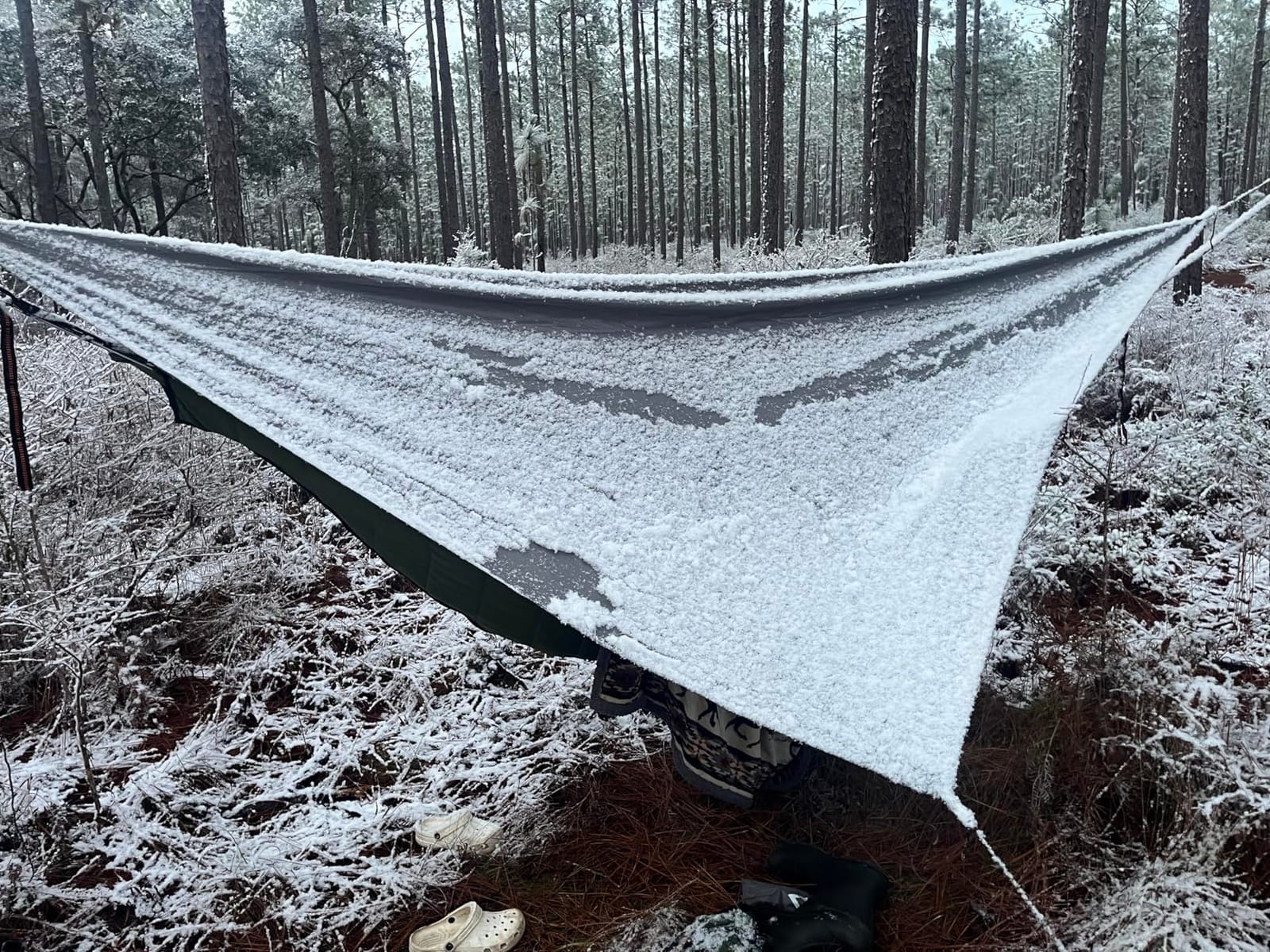 Camping Hammock with Mosquito Net - 500lbs Portable Hammock customer photo 2