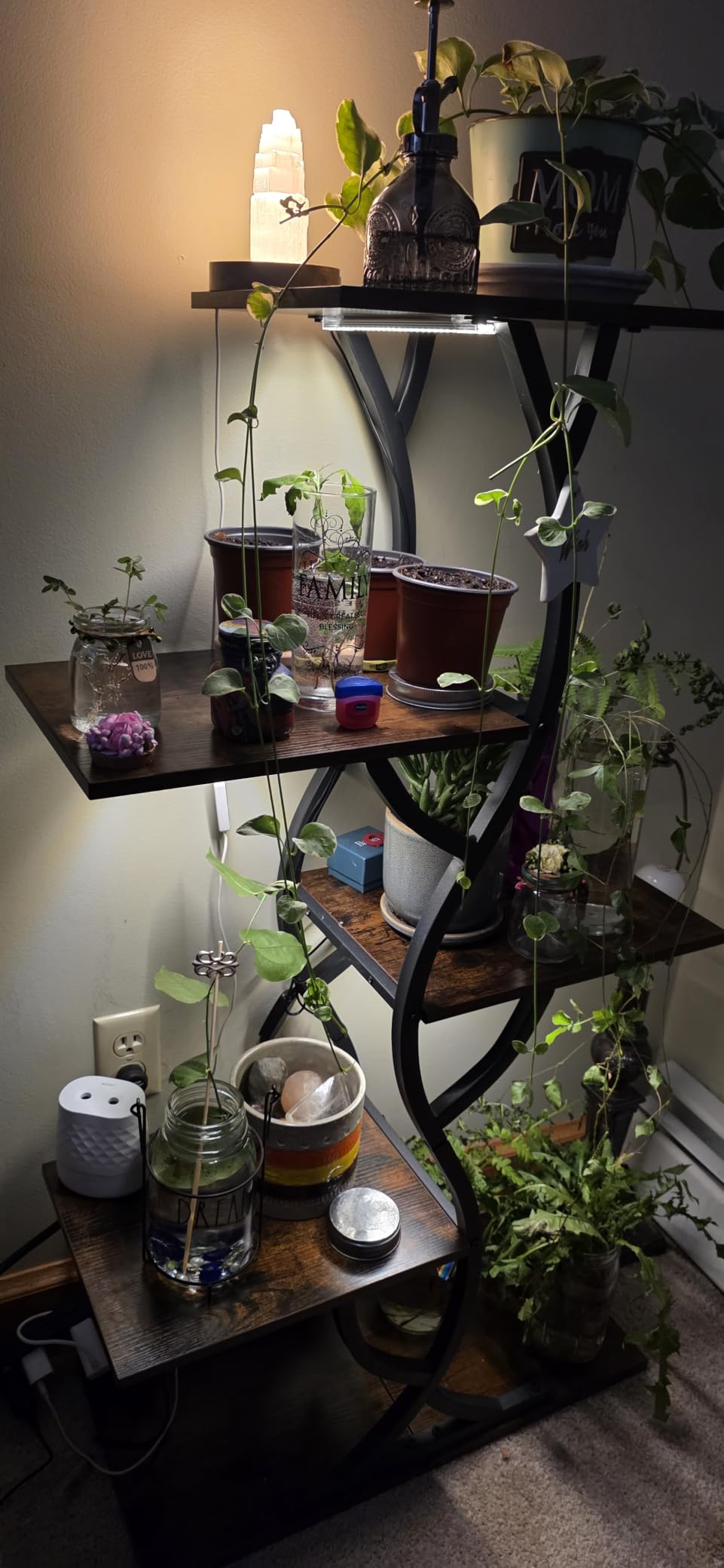 Plant Stand Indoor with Grow Lights - 5 Tiered Corner Plant Shelves (Brown) customer photo 2