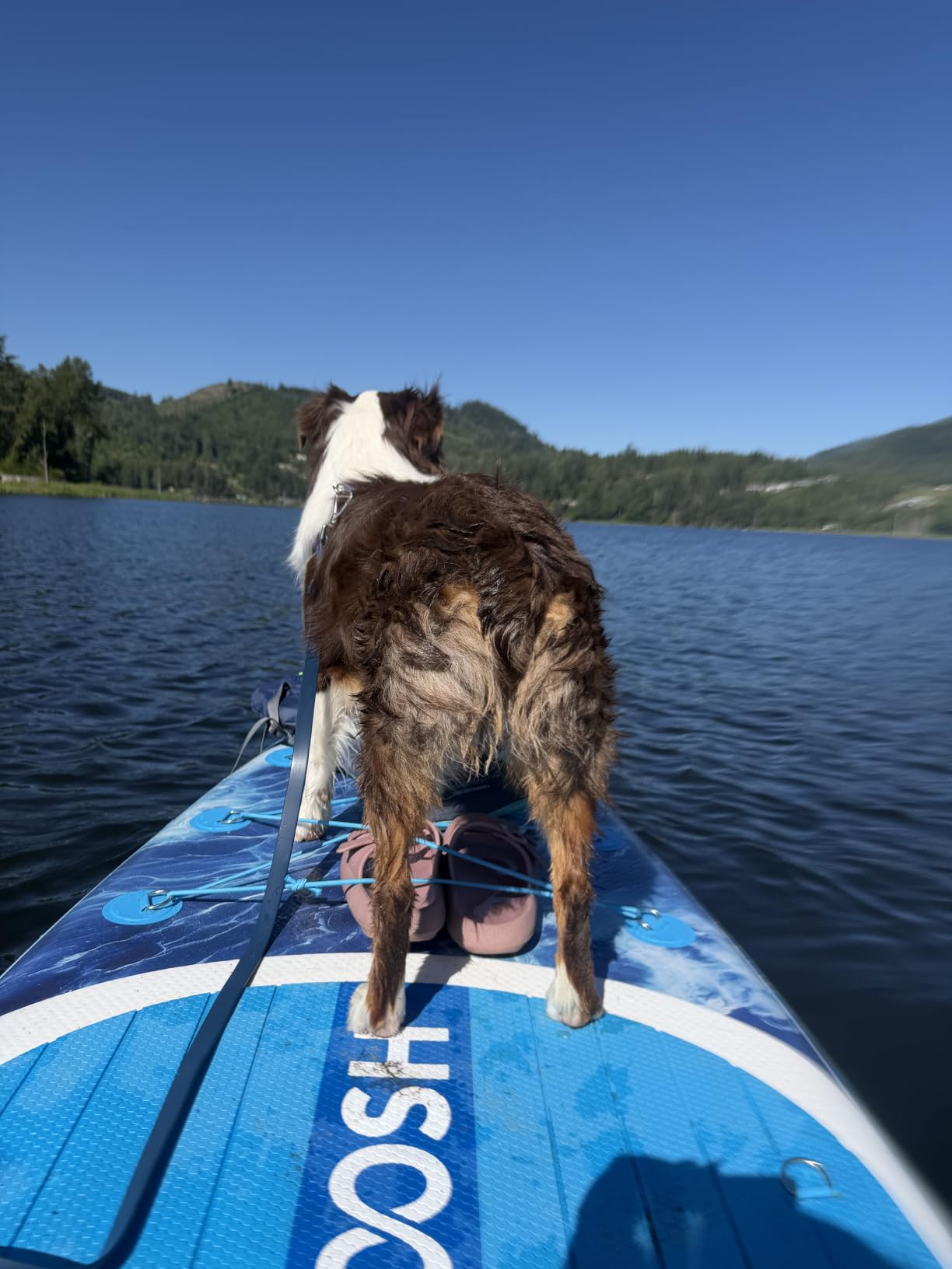 SLOOSH Inflatable Stand Up Paddle Board for Adult, Inflatable Paddle Boards with Premium Accessories, Non-Slip EVA Deck, Ultra-Light Carry Bag Pump, Blow Up SUP for All Skill Levels customer photo 1